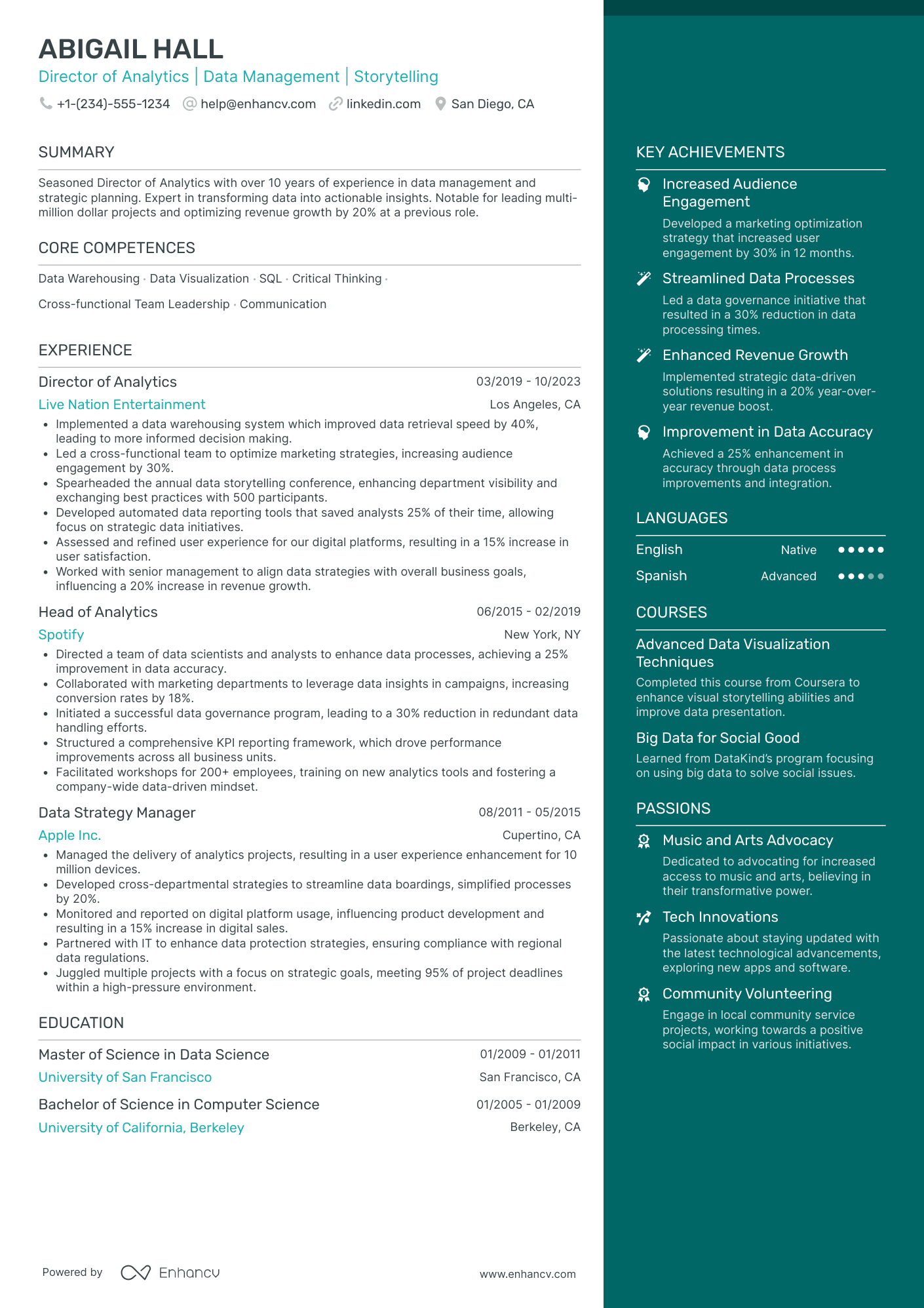 Chief Data Officer for Art and Cultural Organizations Resume Example