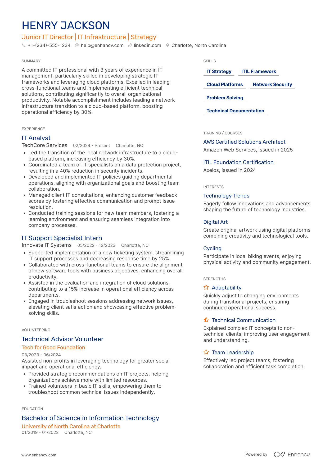 Junior IT Director Resume Example