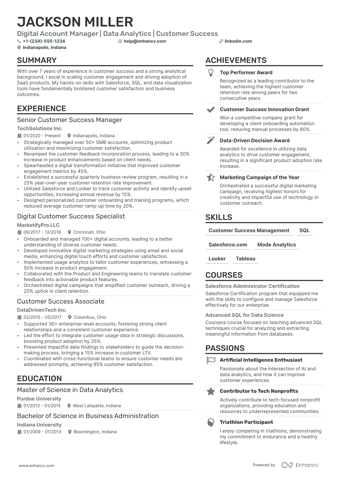 Digital Account Manager Resume Example