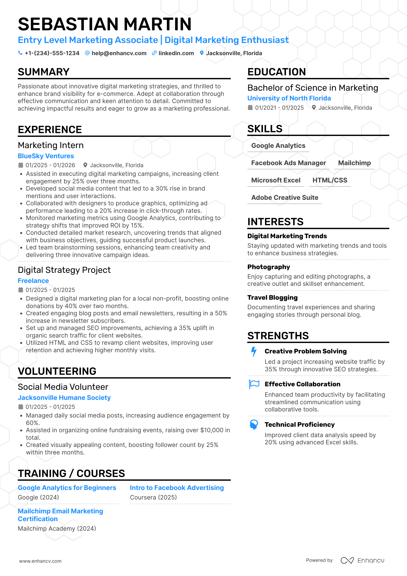 Entry Level Marketing Associate Resume Example