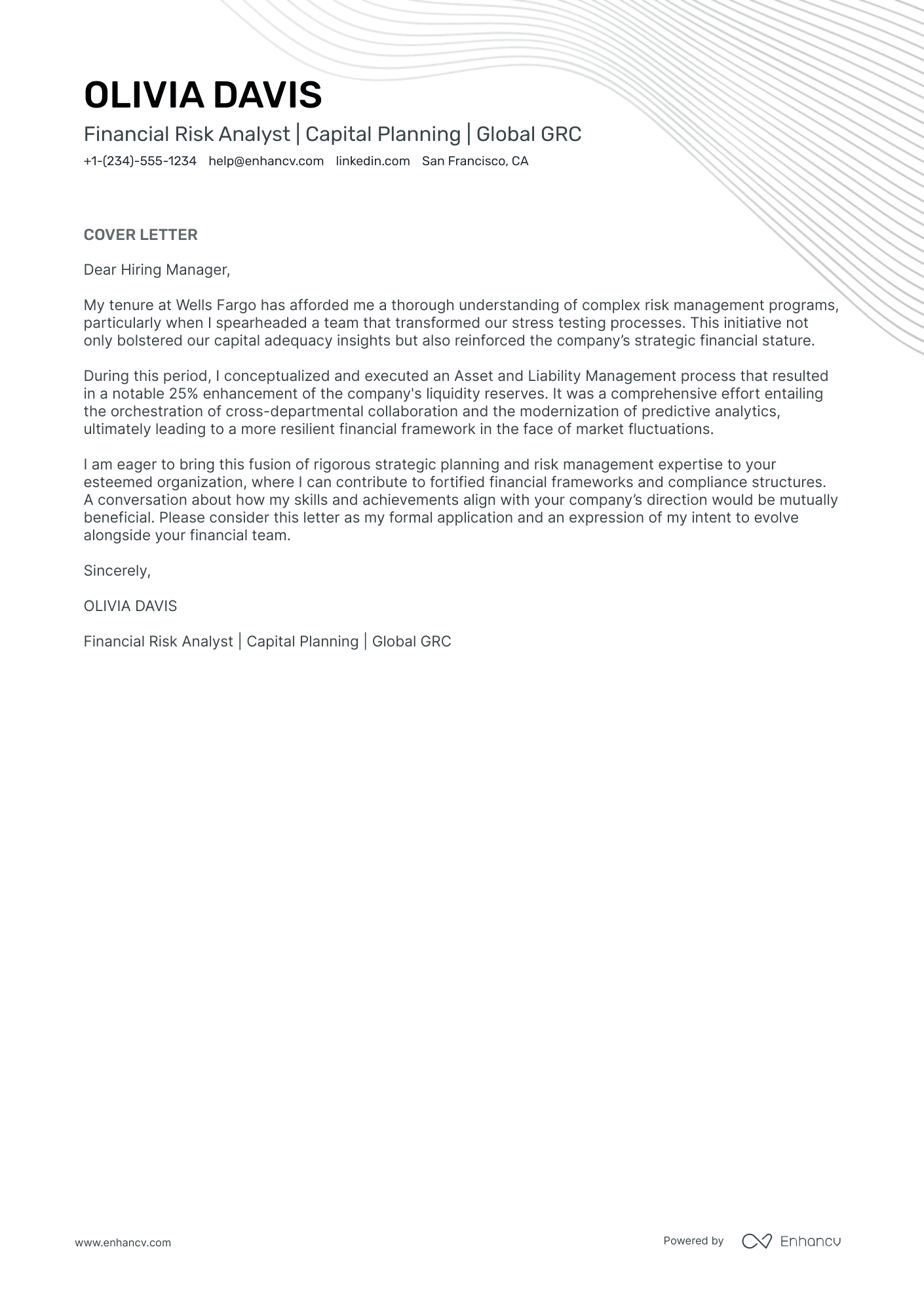 Financial Risk Analyst Resume Example