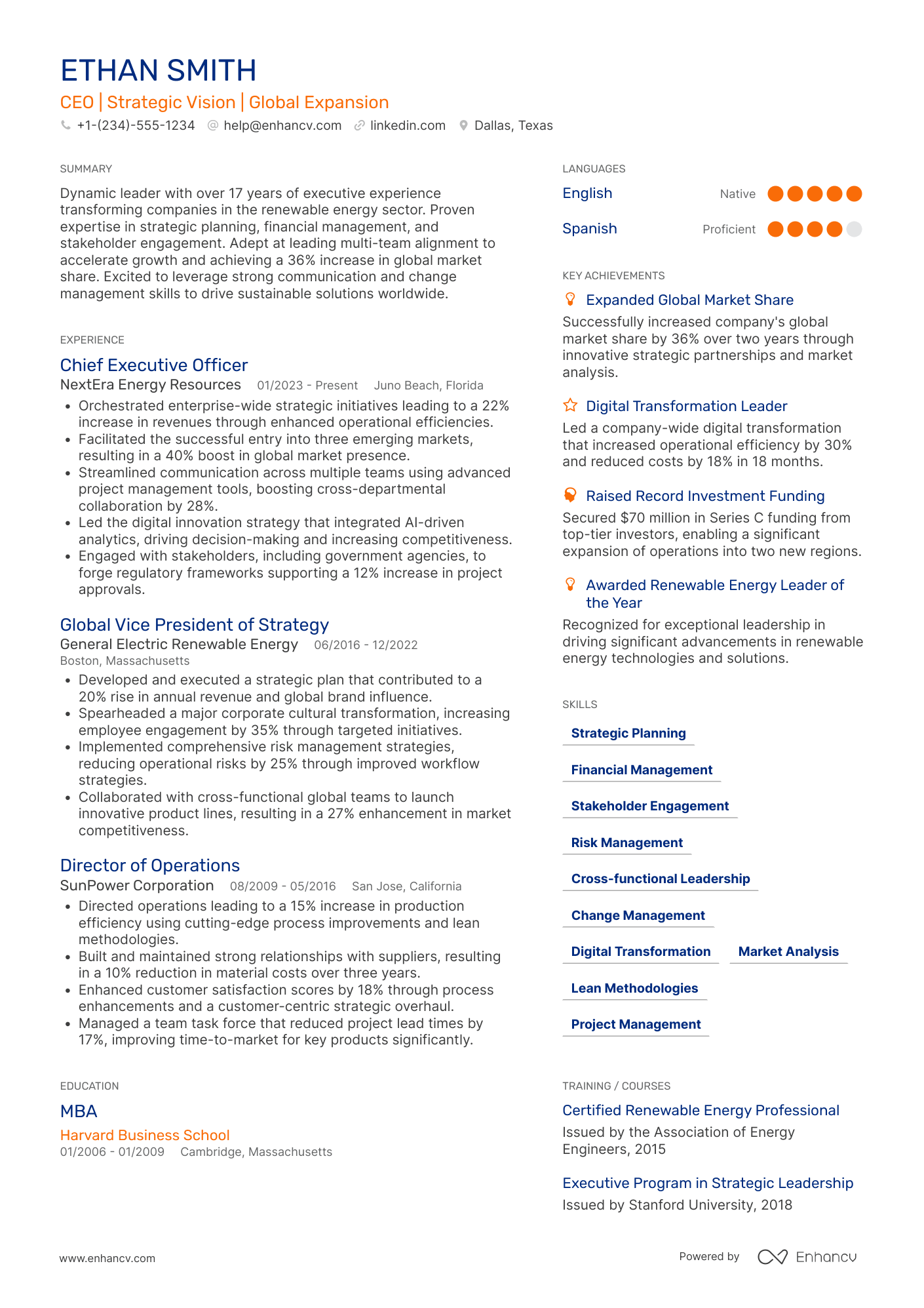 Global CEO Resume Example