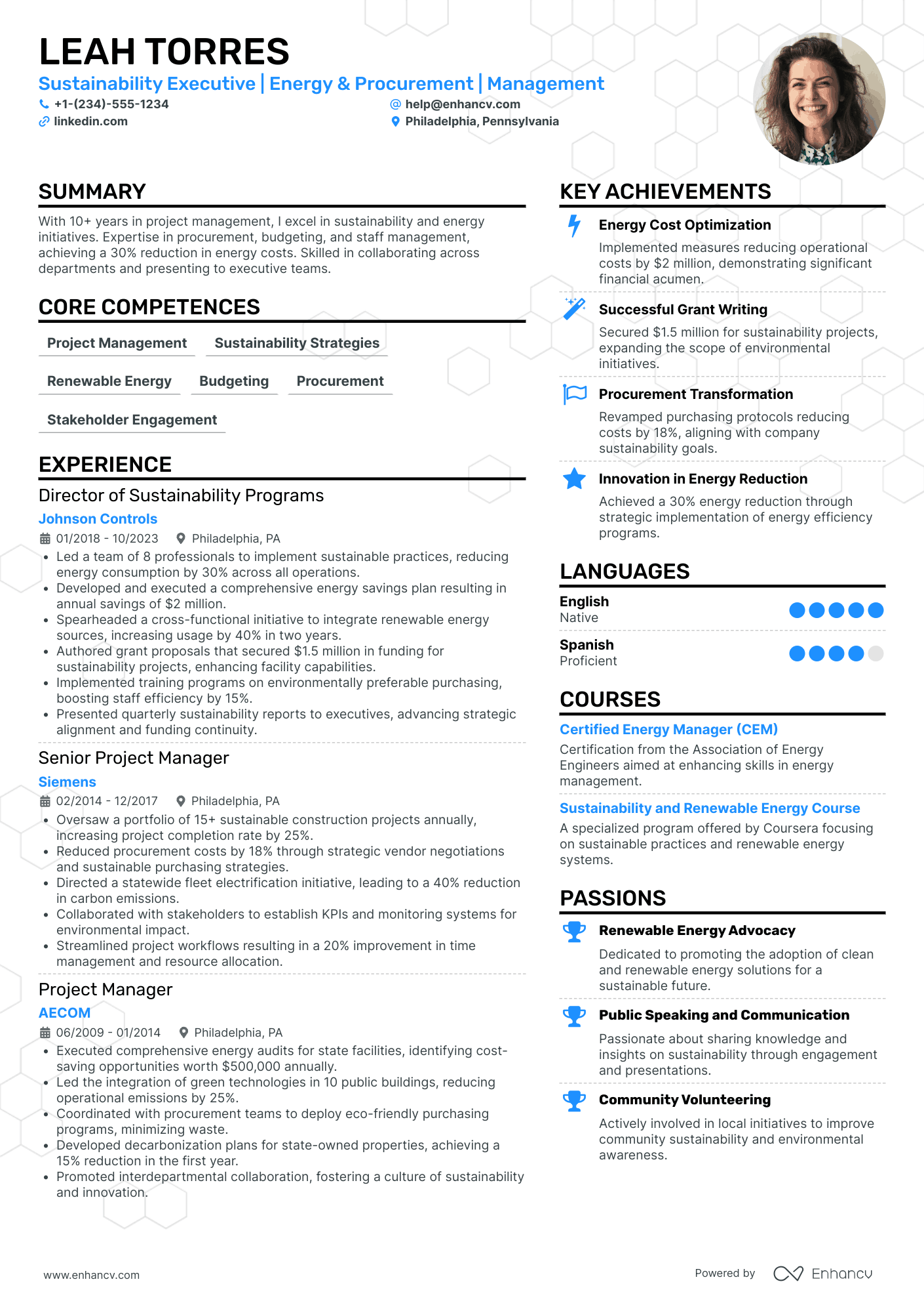 Chief Sustainability Officer Resume Example