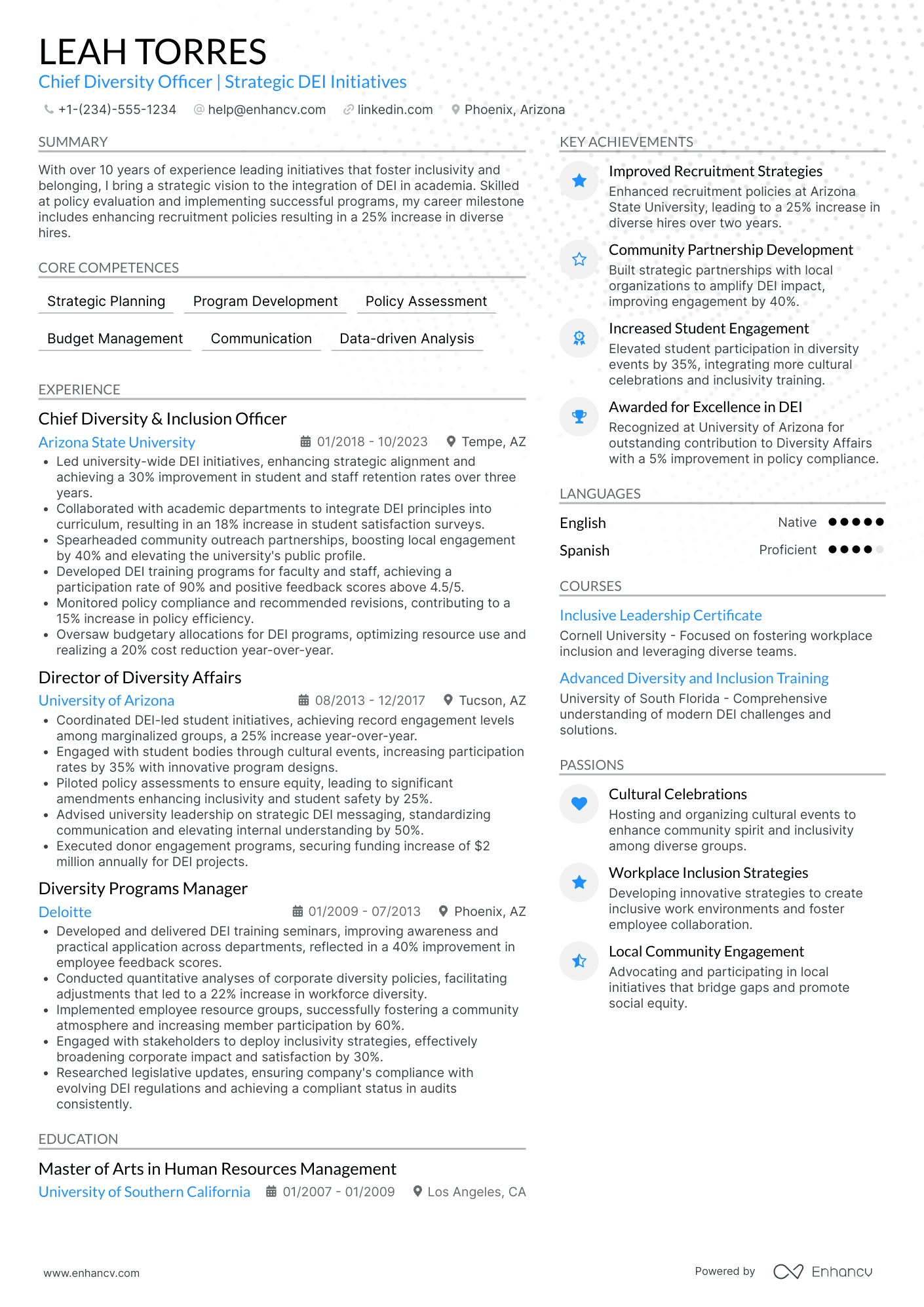 Chief Diversity Officer for Business Development Resume Example