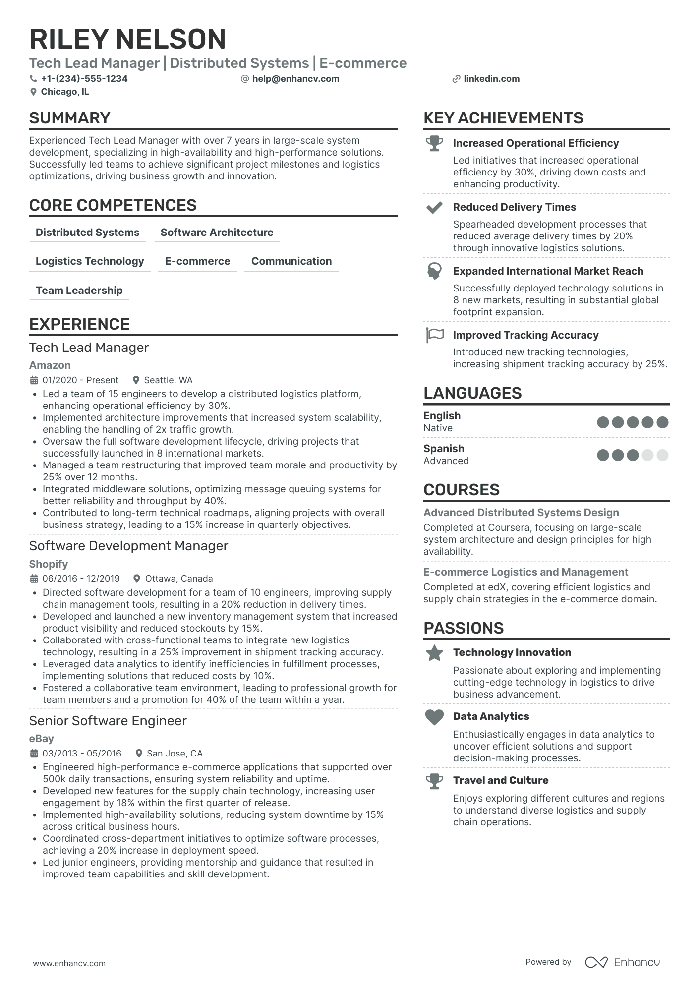 Chief Logistics Officer in E commerce Resume Example
