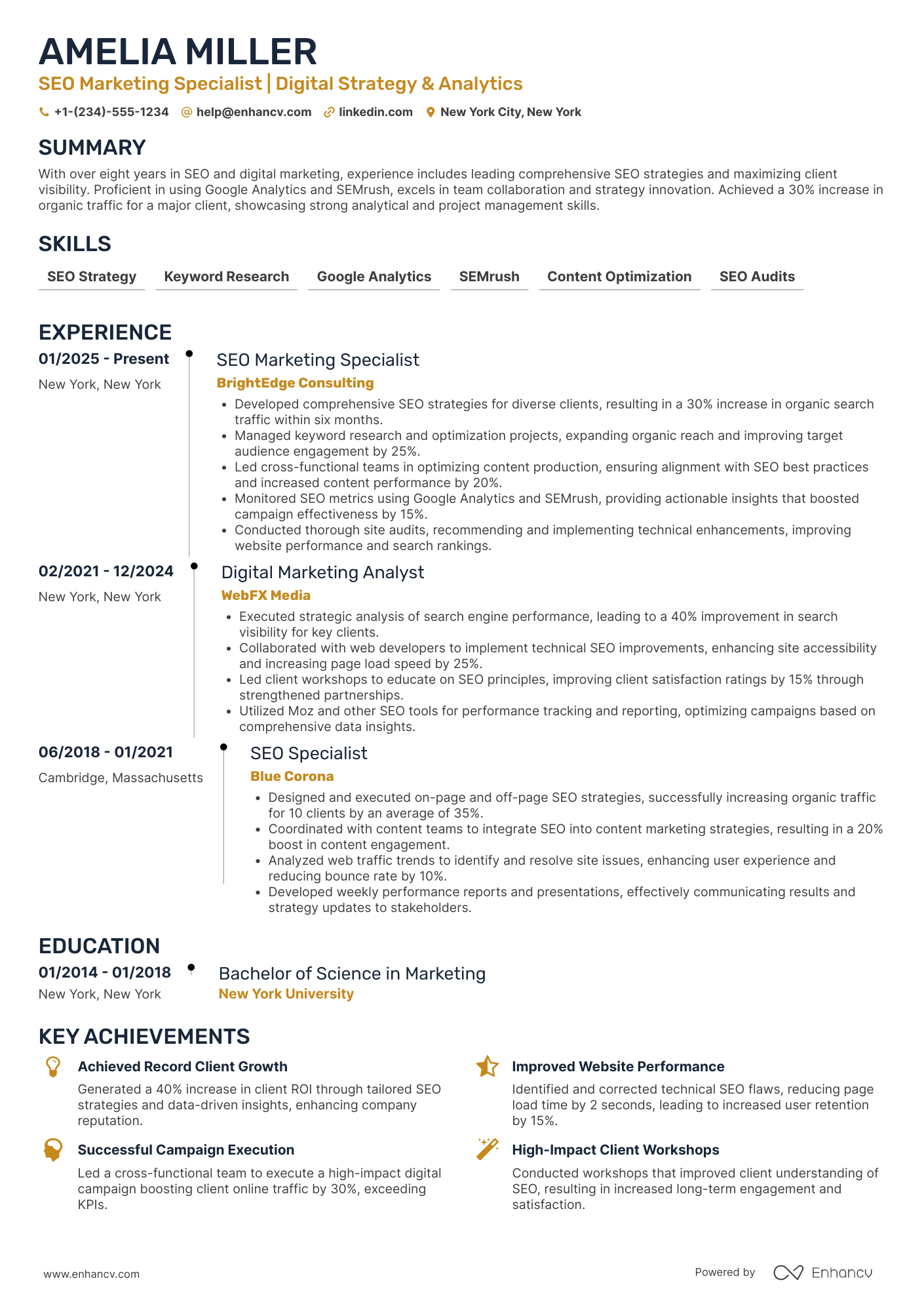 SEO Marketing Specialist Resume Example