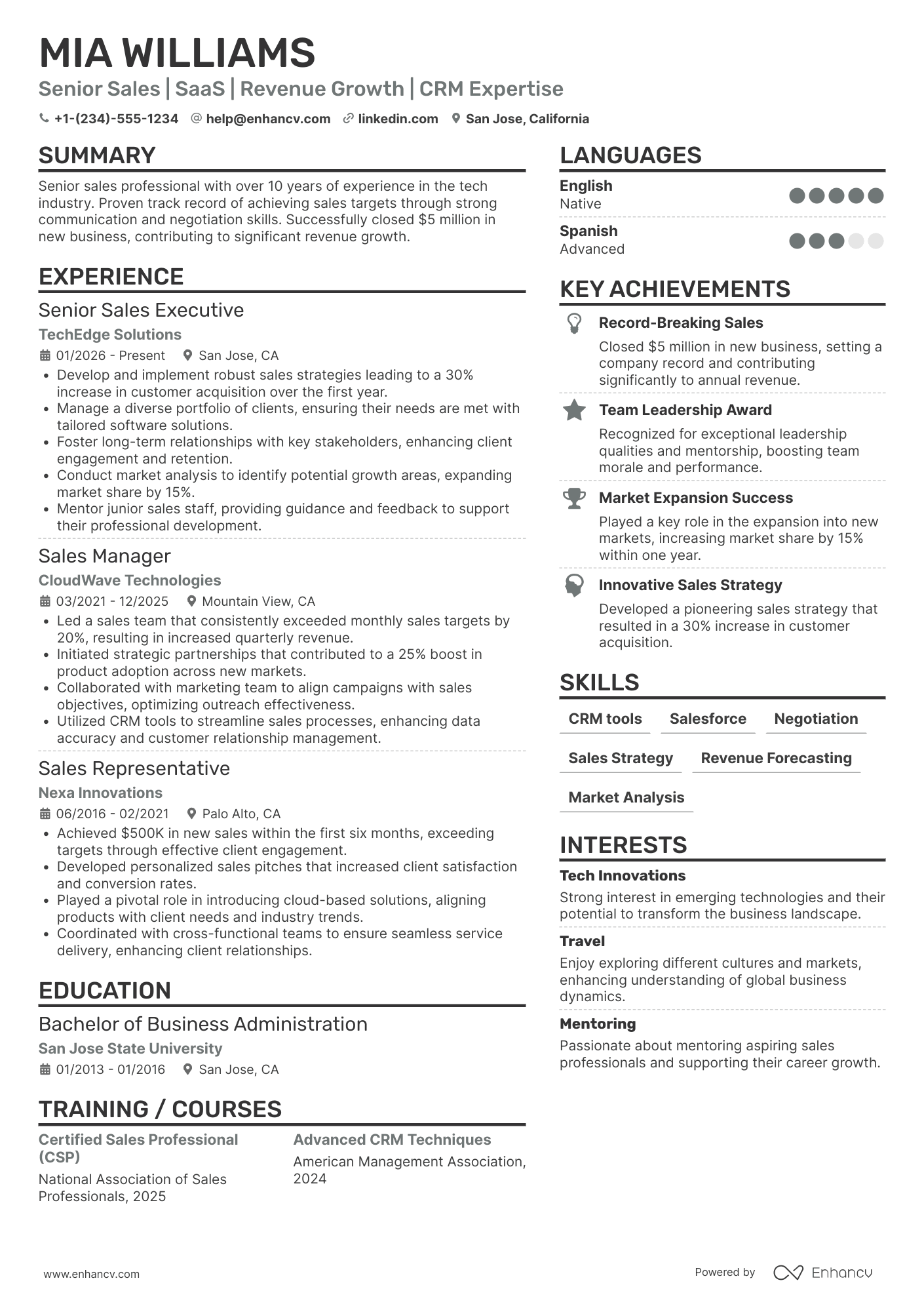 Senior Sales Person Resume Example