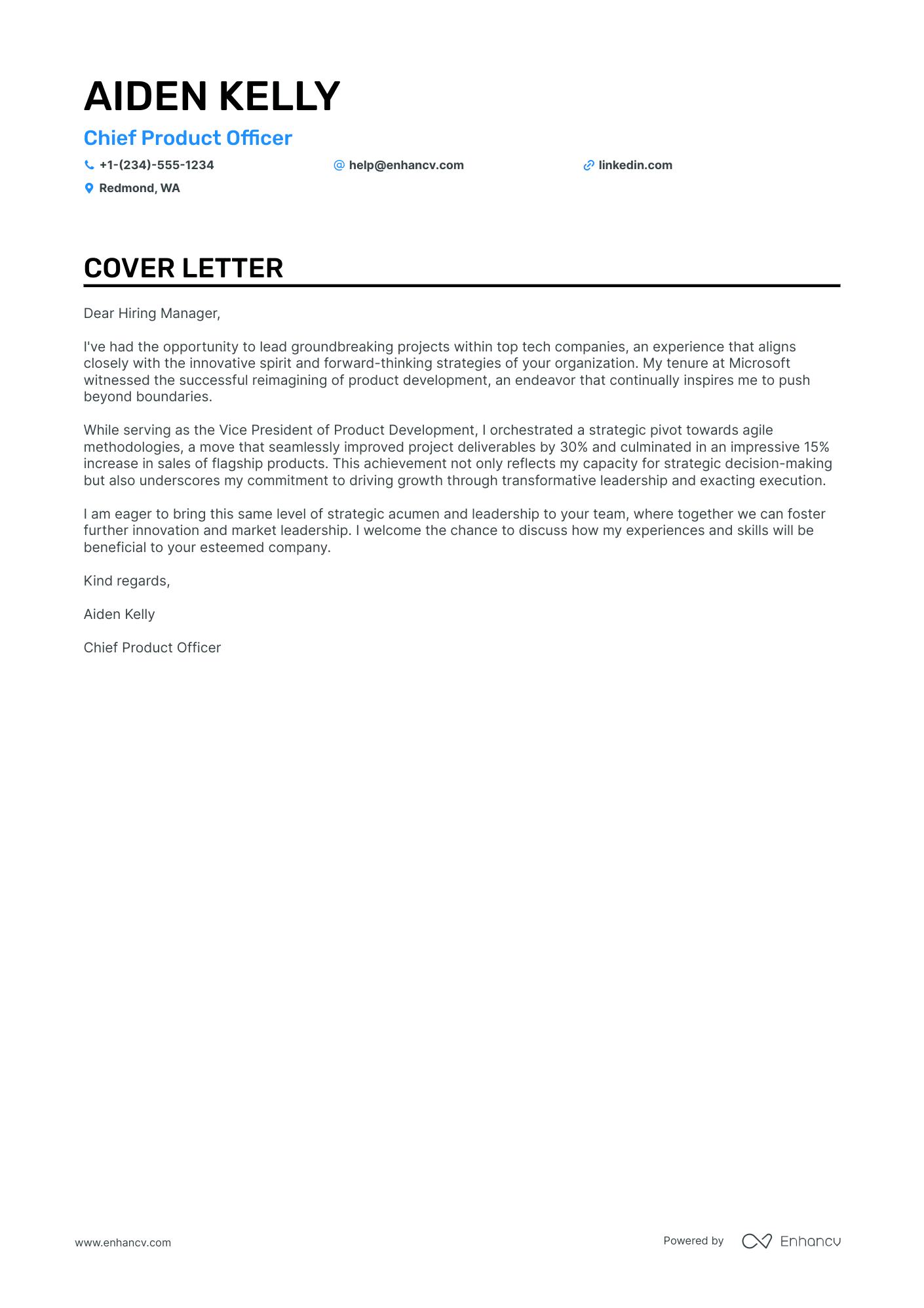 Chief Product Officer Resume Example