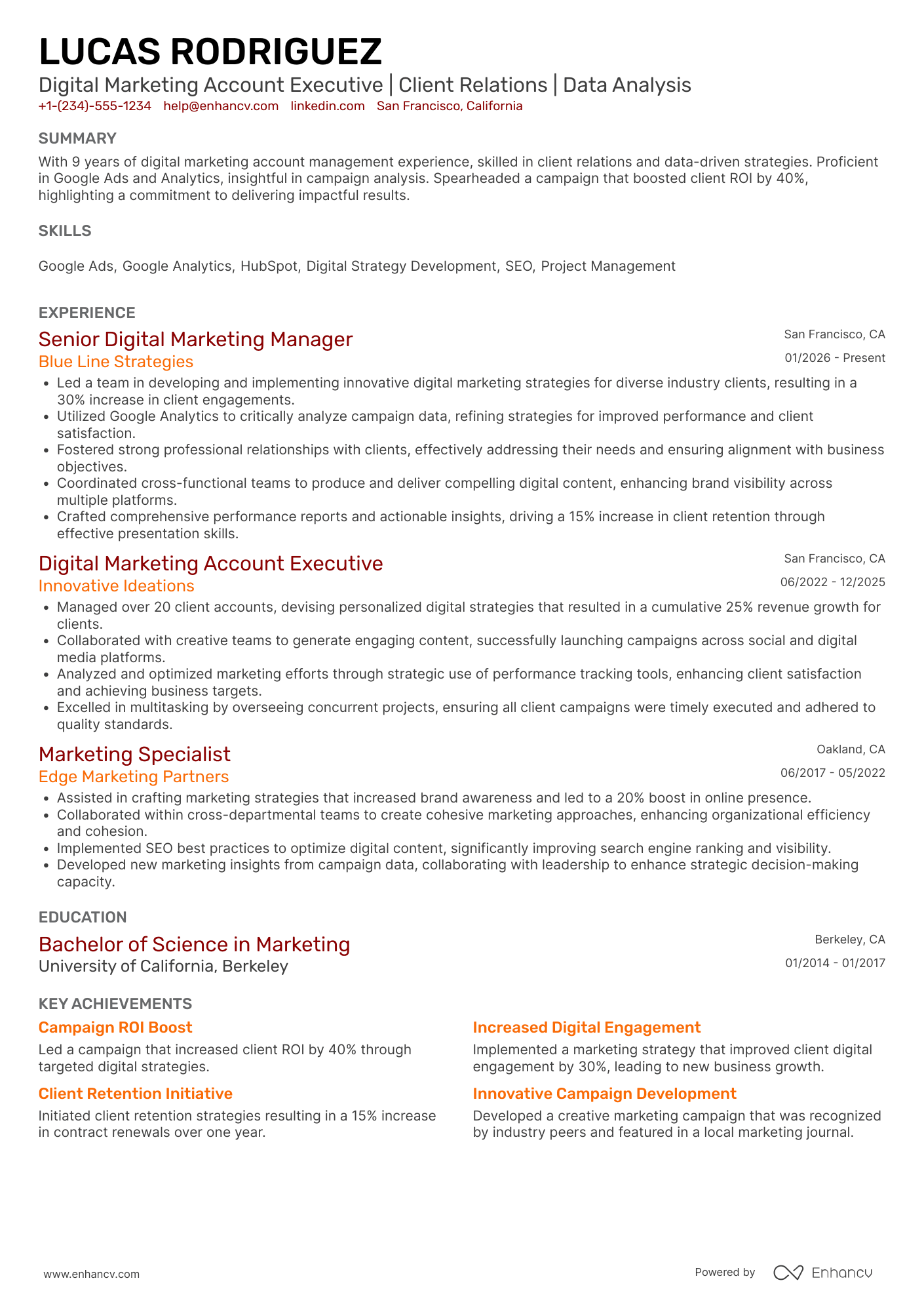 Digital Marketing Account Executive Resume Example
