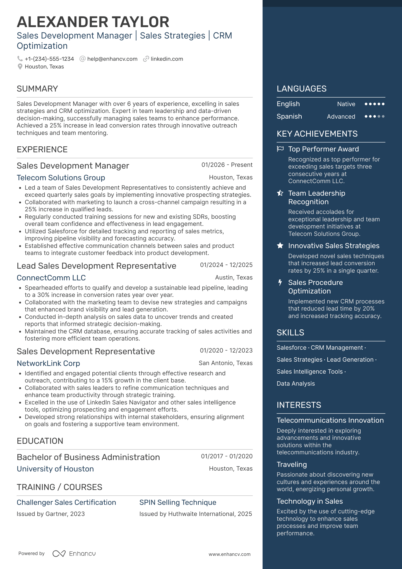 Sales Development Manager Resume Example