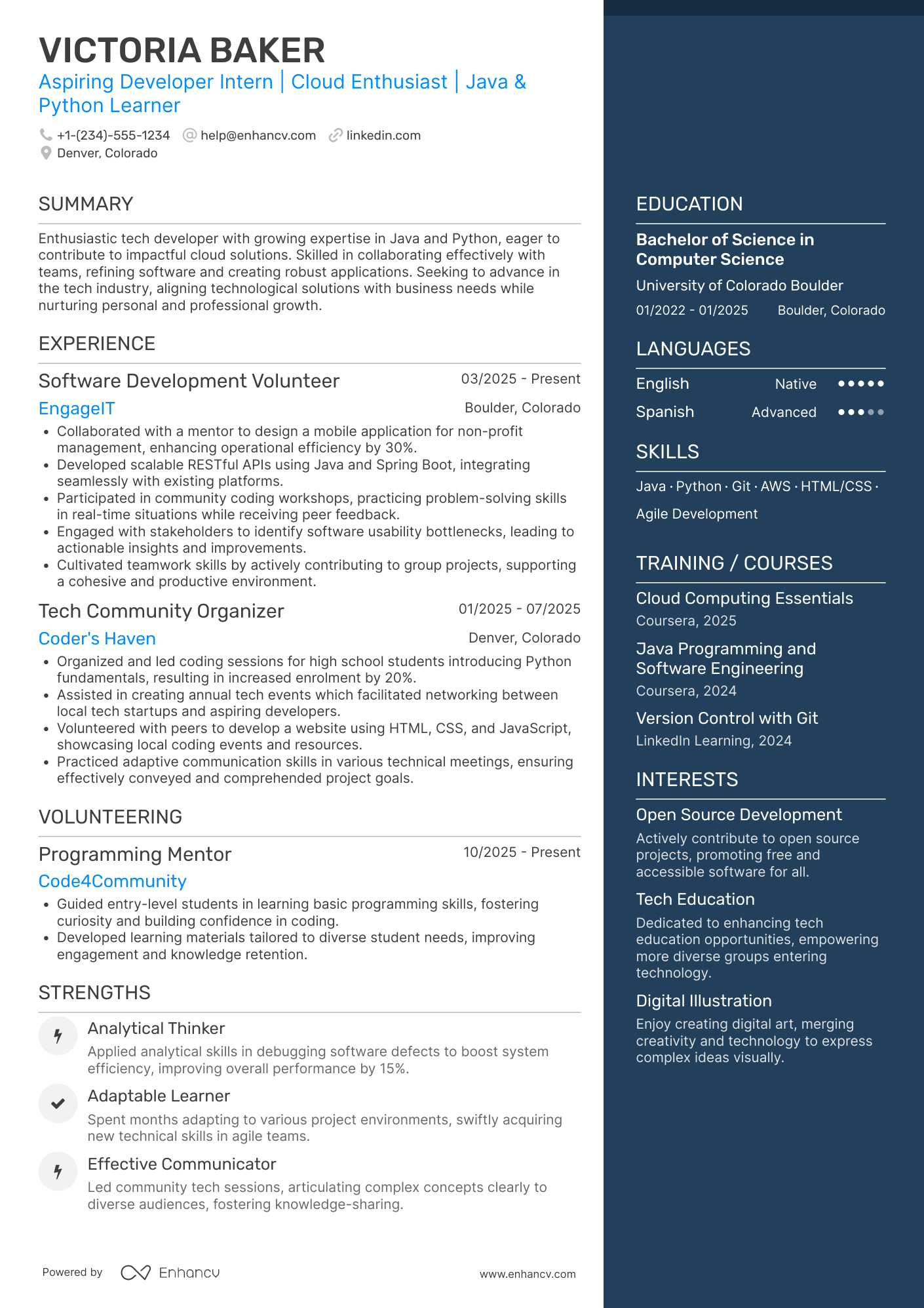Developer Intern Resume Example