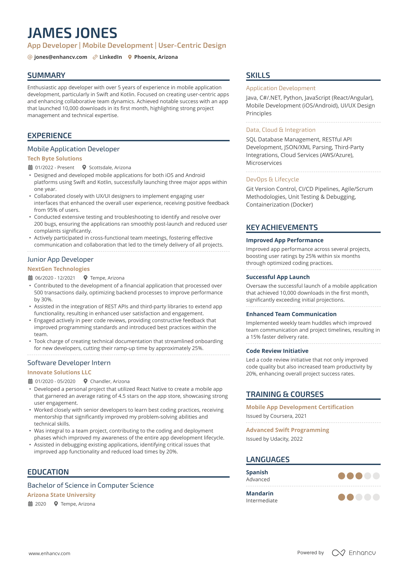 IT Application Developer Resume Example