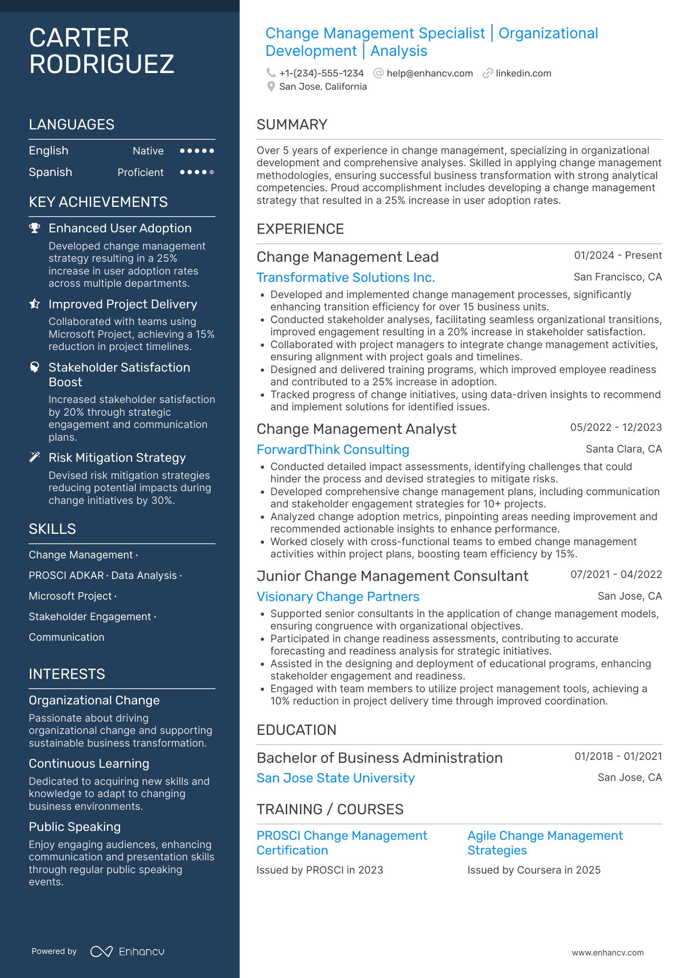 Change Management Analyst Resume Example