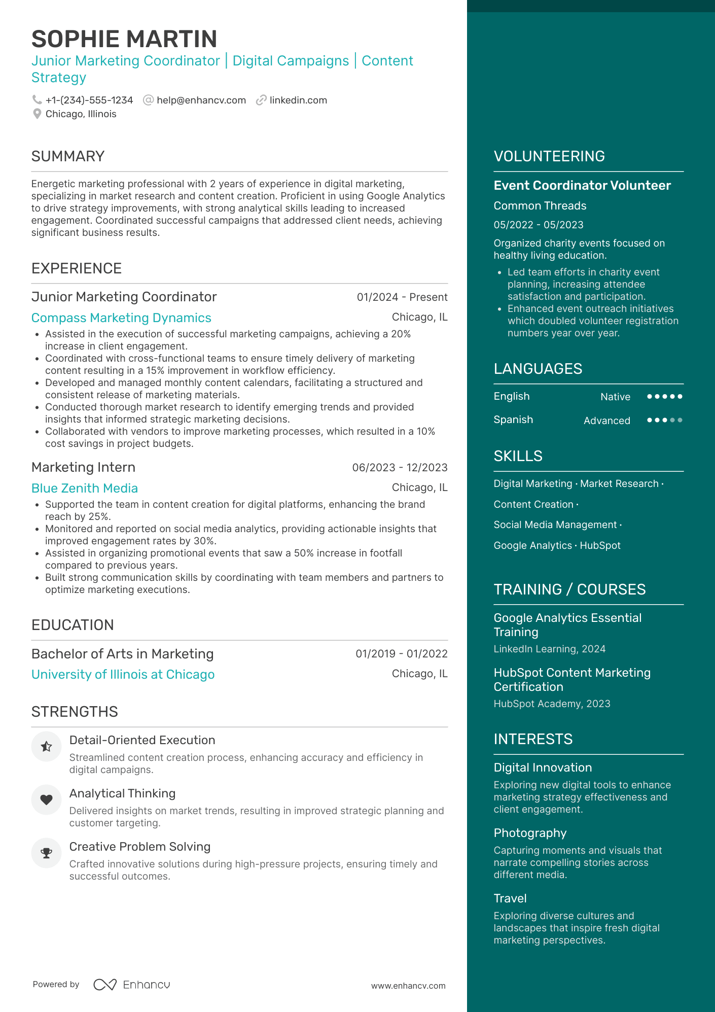 Junior Marketing Coordinator Resume Example