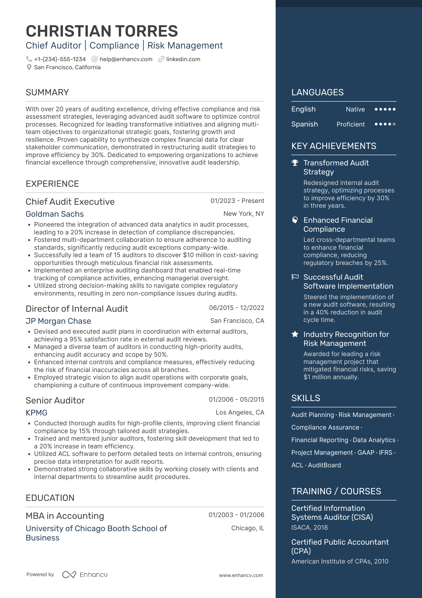 Chief Auditor Resume Example