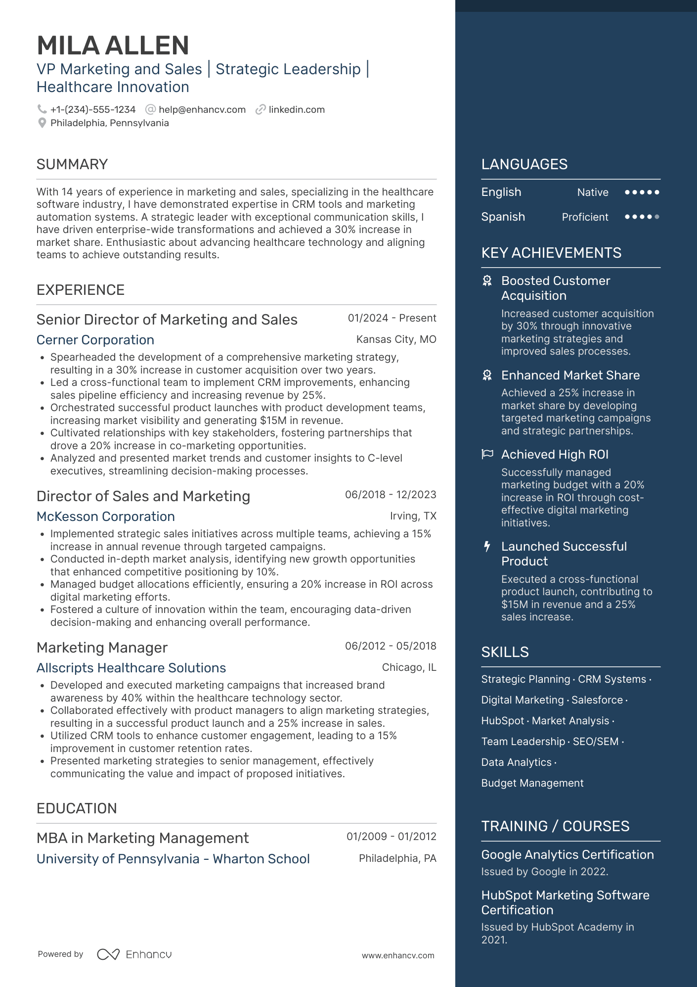 VP Marketing and Sales Resume Example