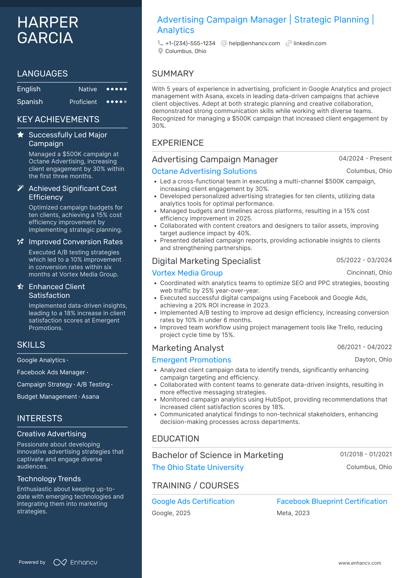 Advertising Campaign Manager Resume Example