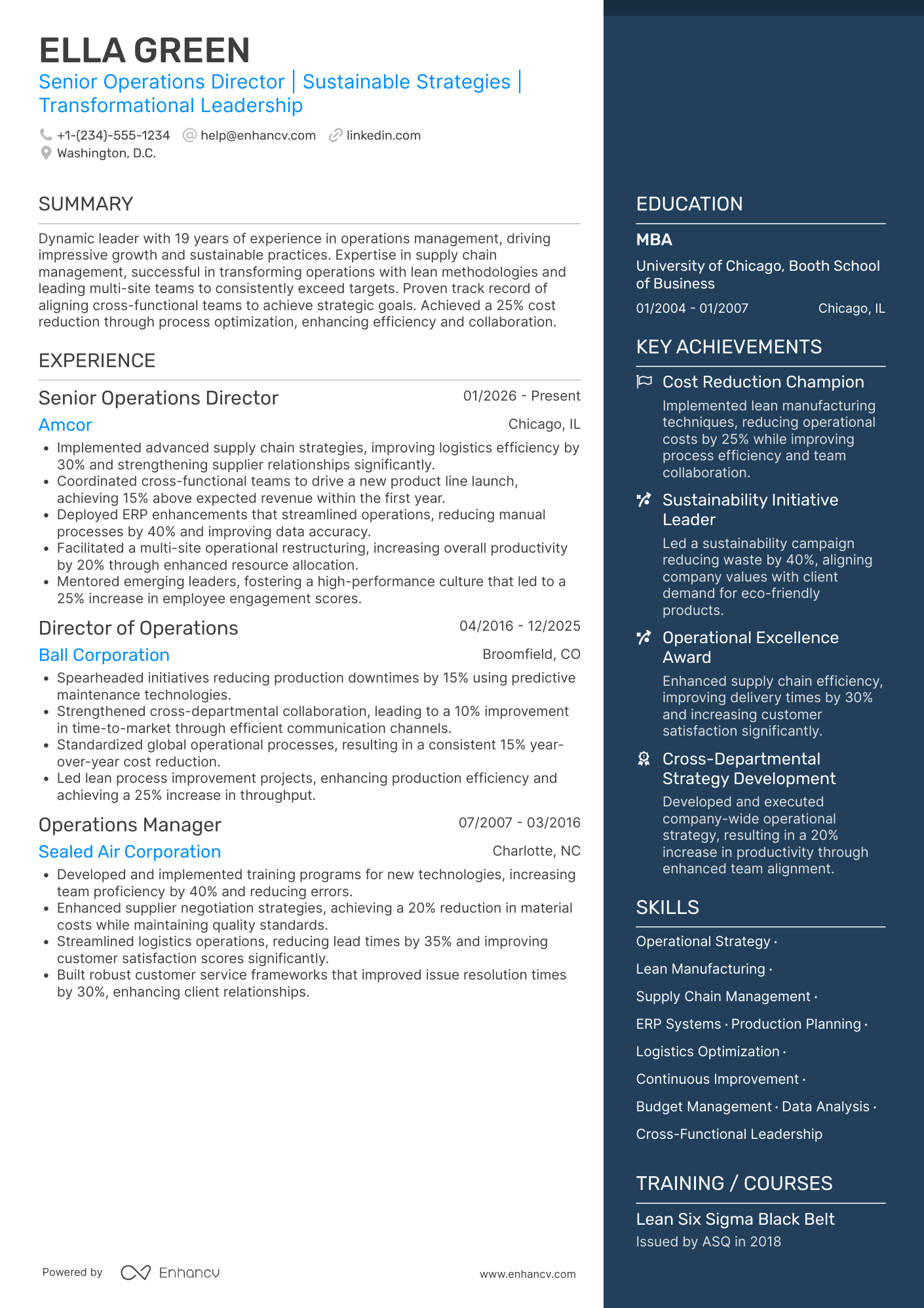 Senior Director of Operations Resume Example