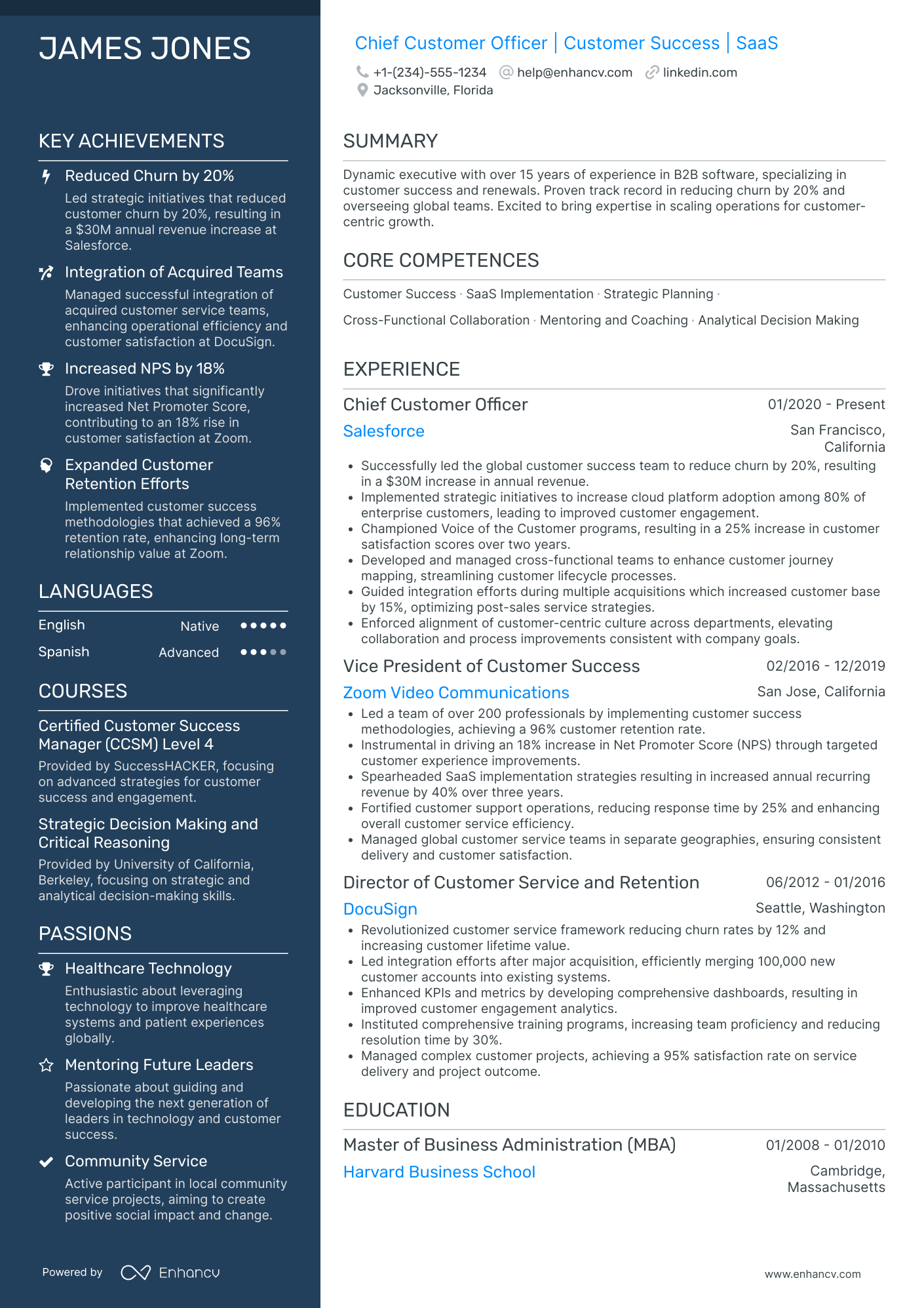 Chief Customer Analytics Officer Resume Example