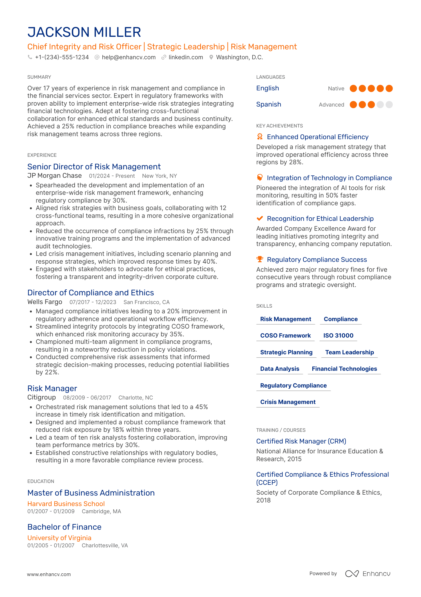 Chief Integrity and Risk Officer Resume Example