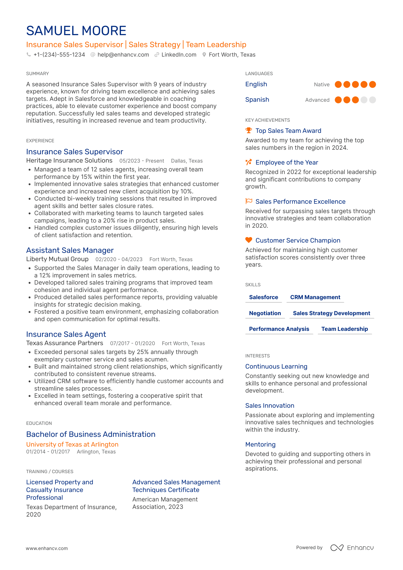 Insurance Sales Supervisor Resume Example