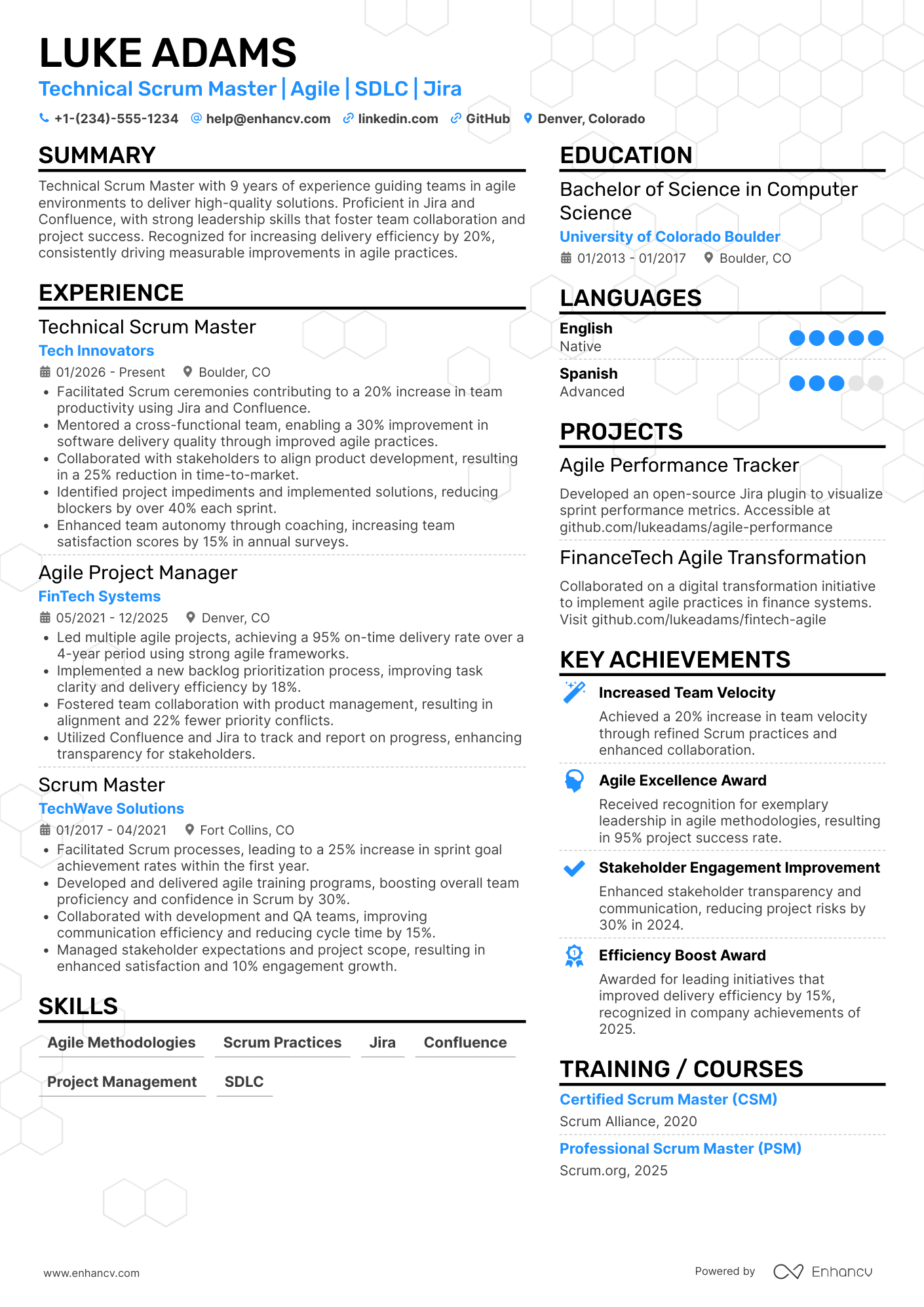 Technical Scrum Master Resume Example
