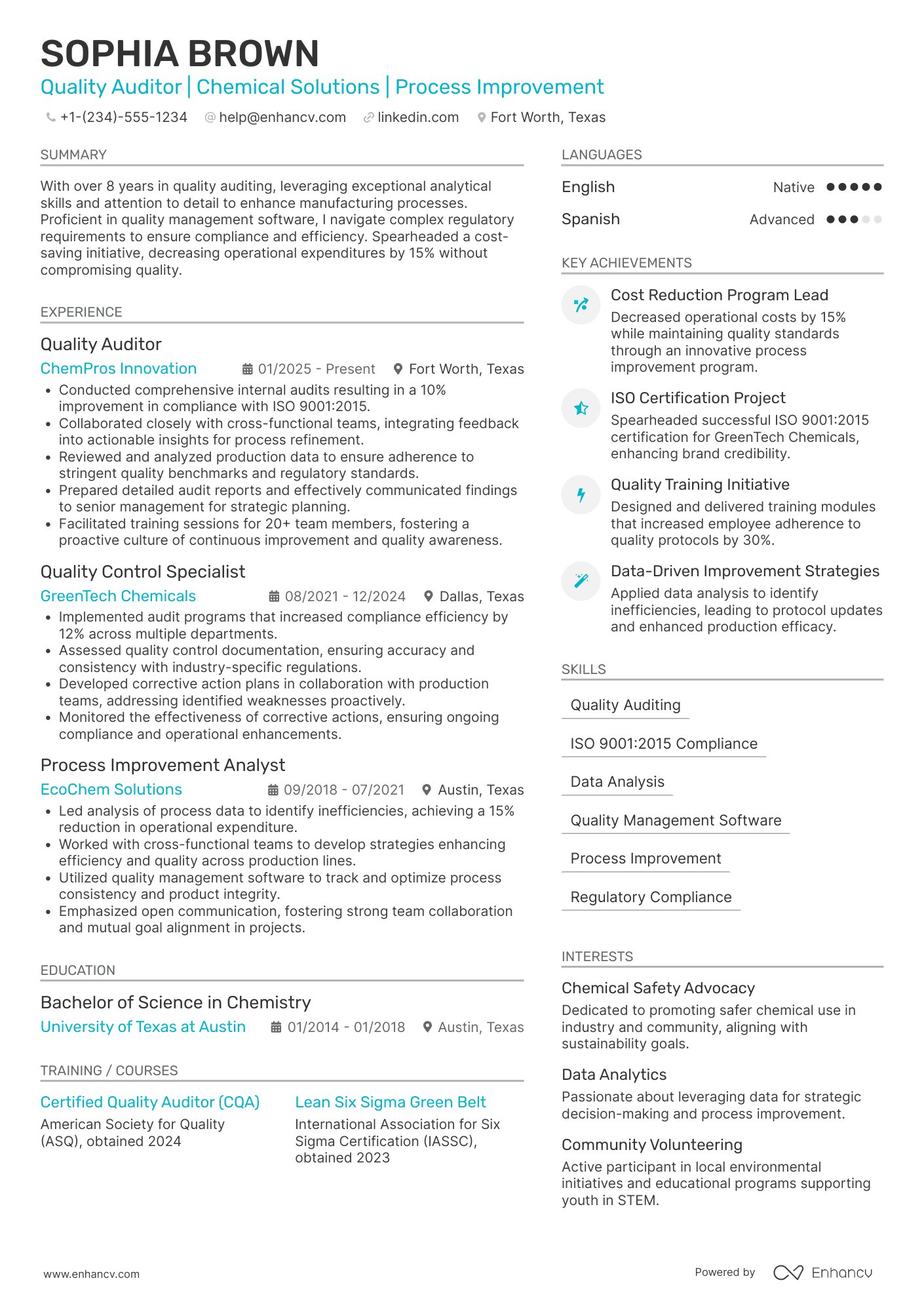 Quality Auditor Resume Example