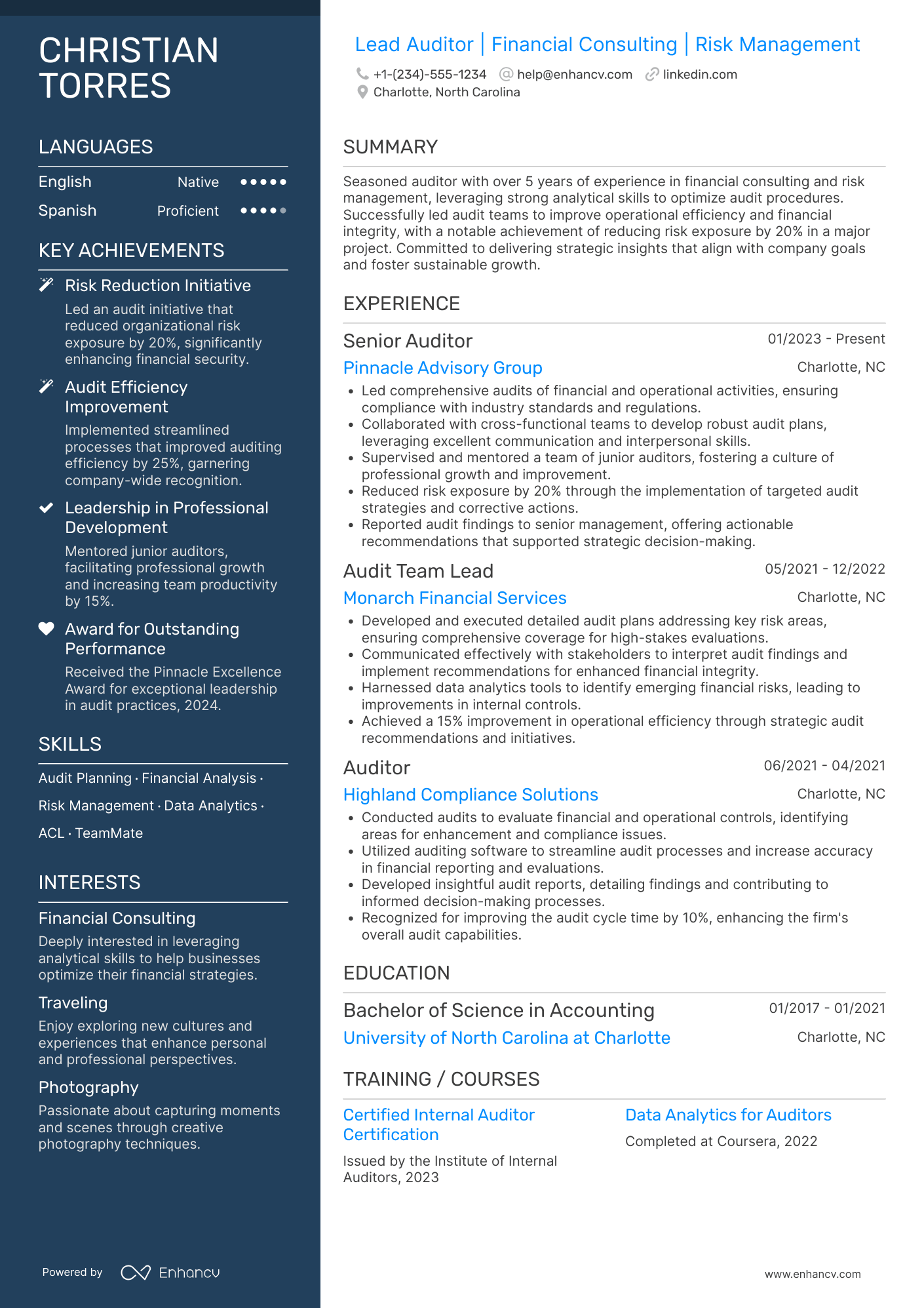Lead Auditor Resume Example
