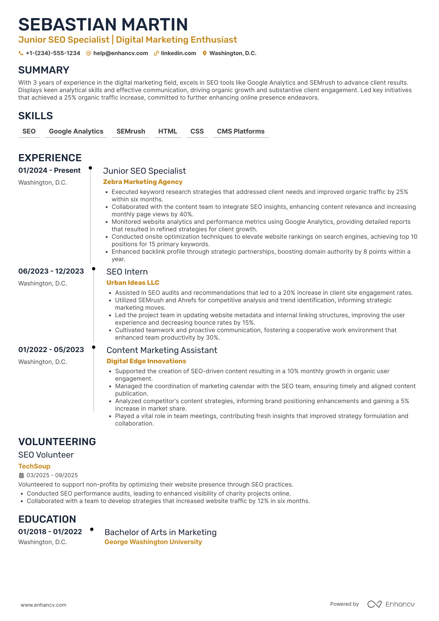 Junior SEO Specialist Resume Example