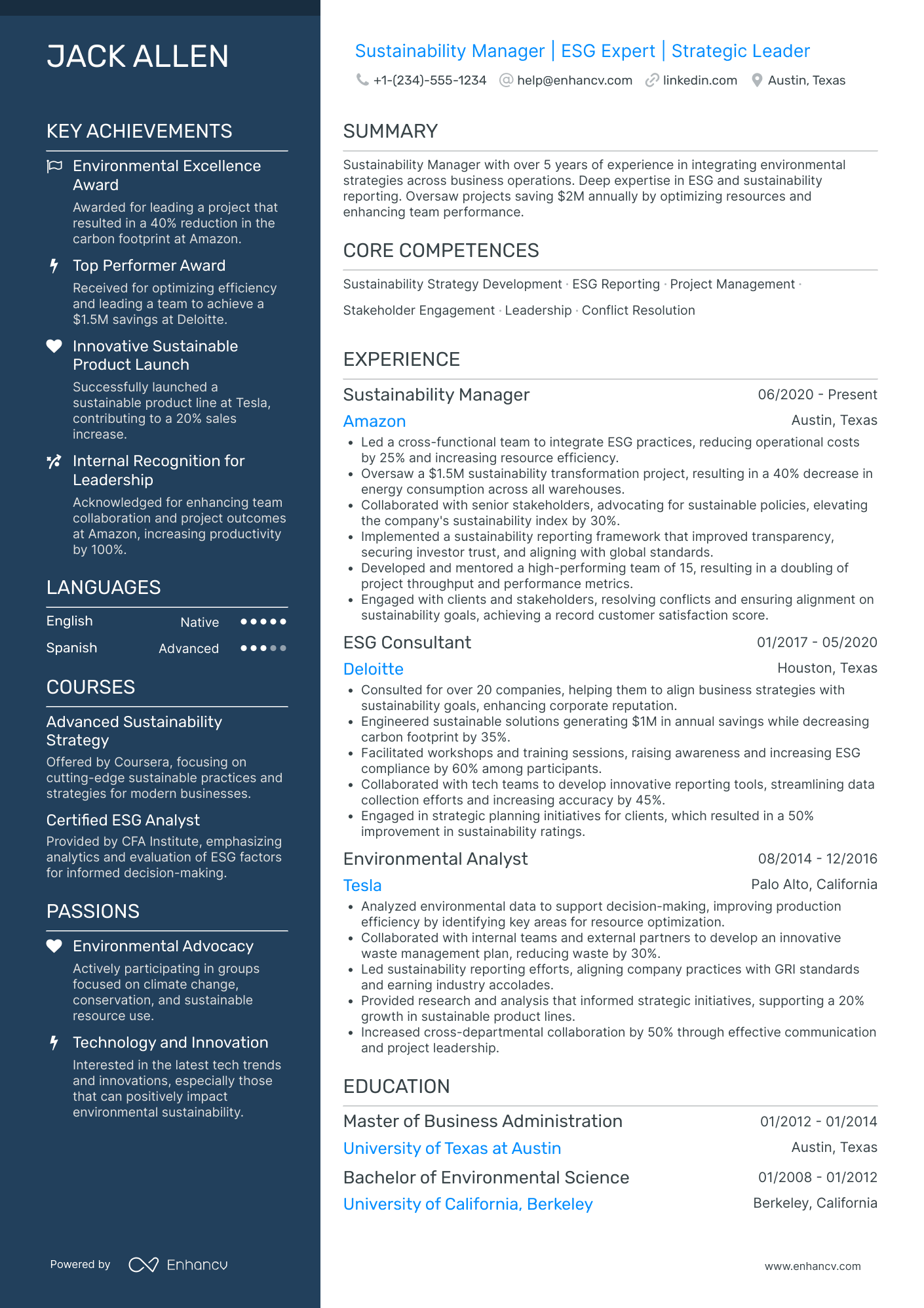 Chief Sustainability Strategy Officer Resume Example