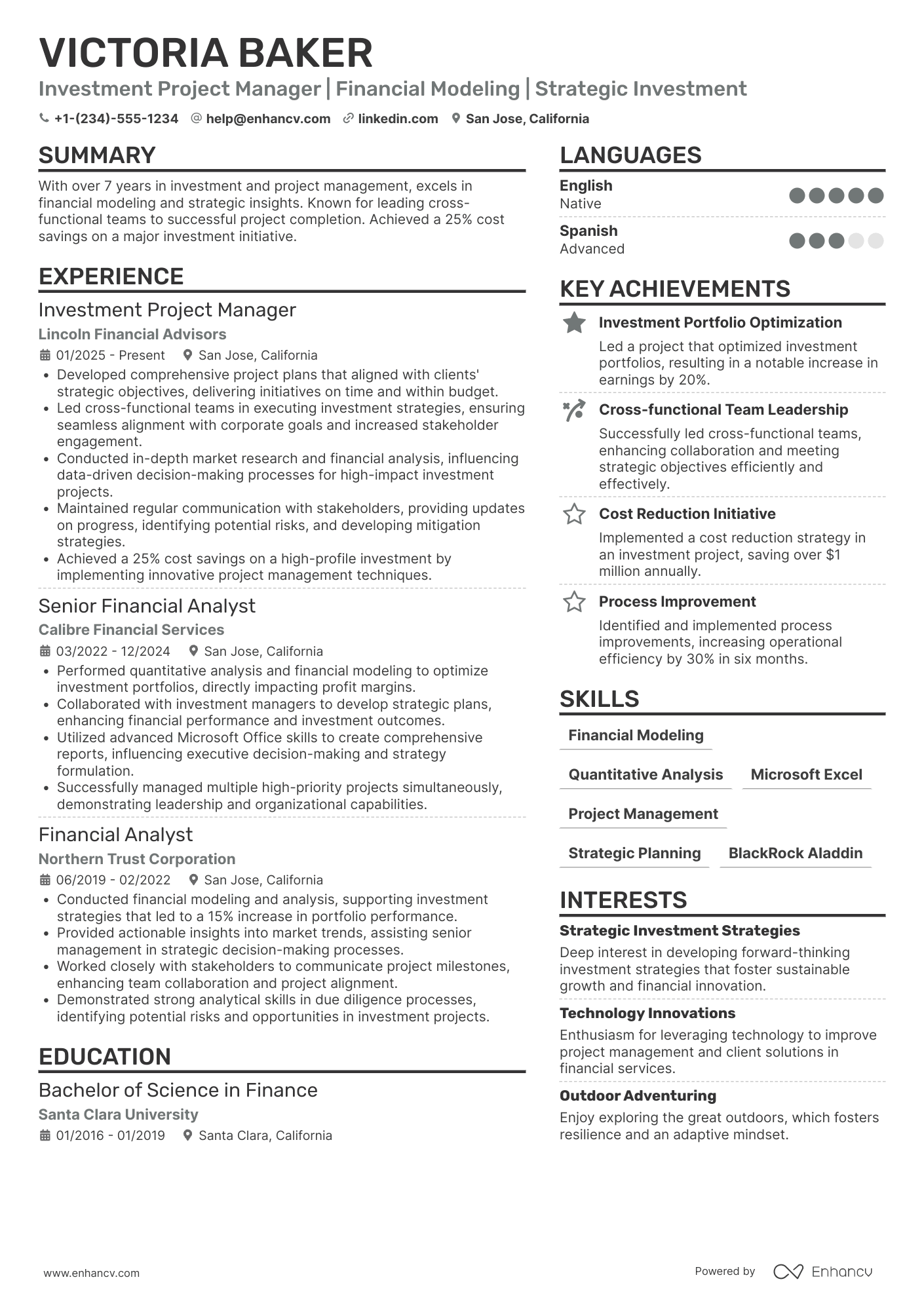 Investment Project Manager Resume Example
