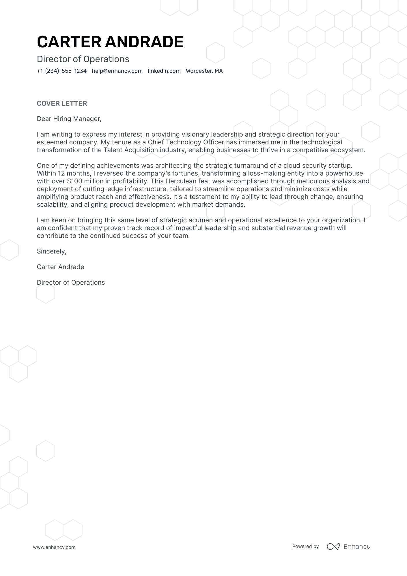 Director Of Operations Resume Example