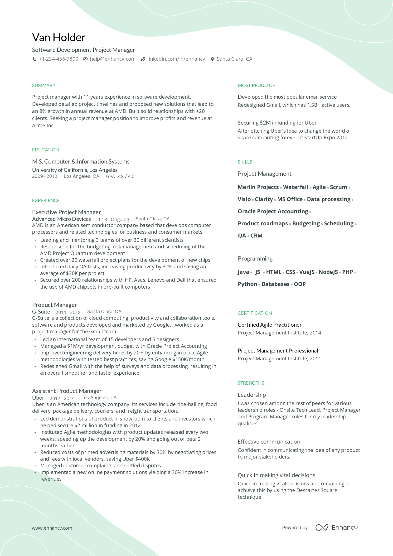 Project Manager Resume Headline Examples