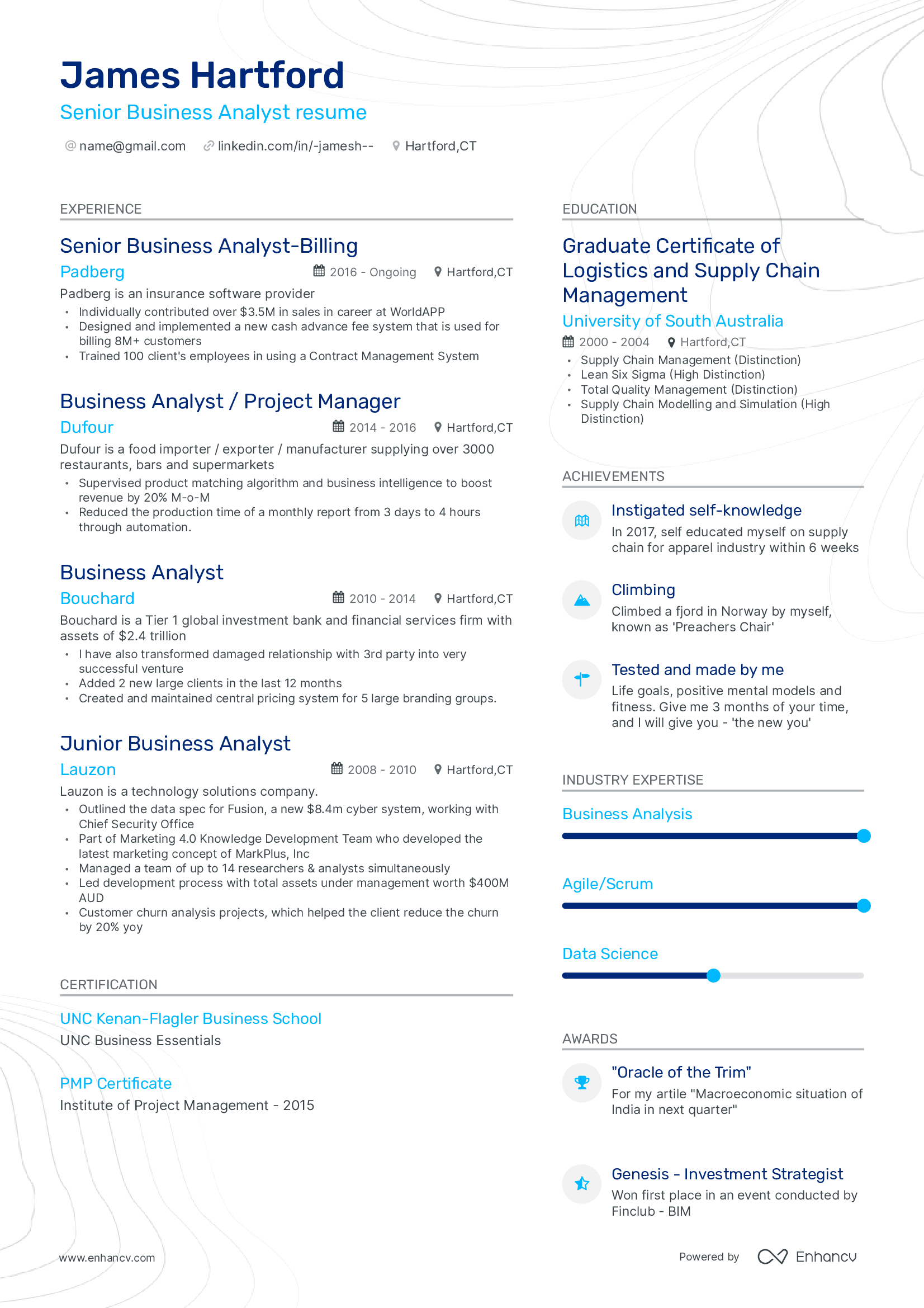 Senior Business Analyst resume.png