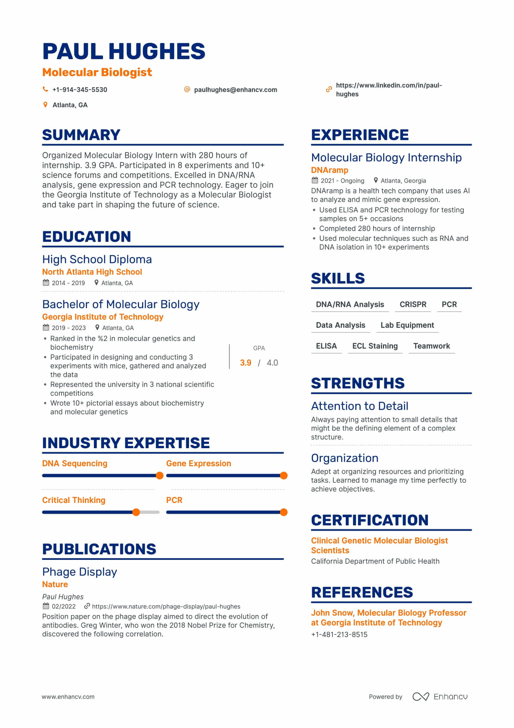 Undergraduate Resume Example