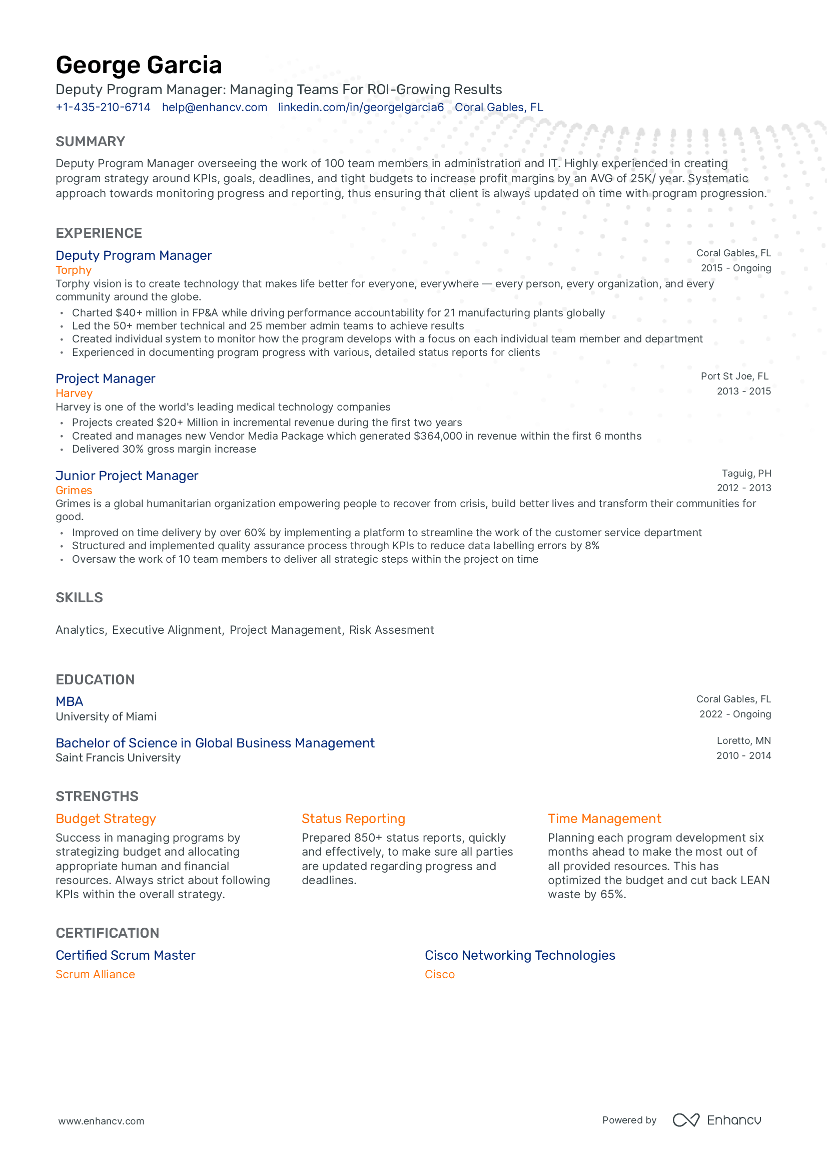 deputy program manager resume.png