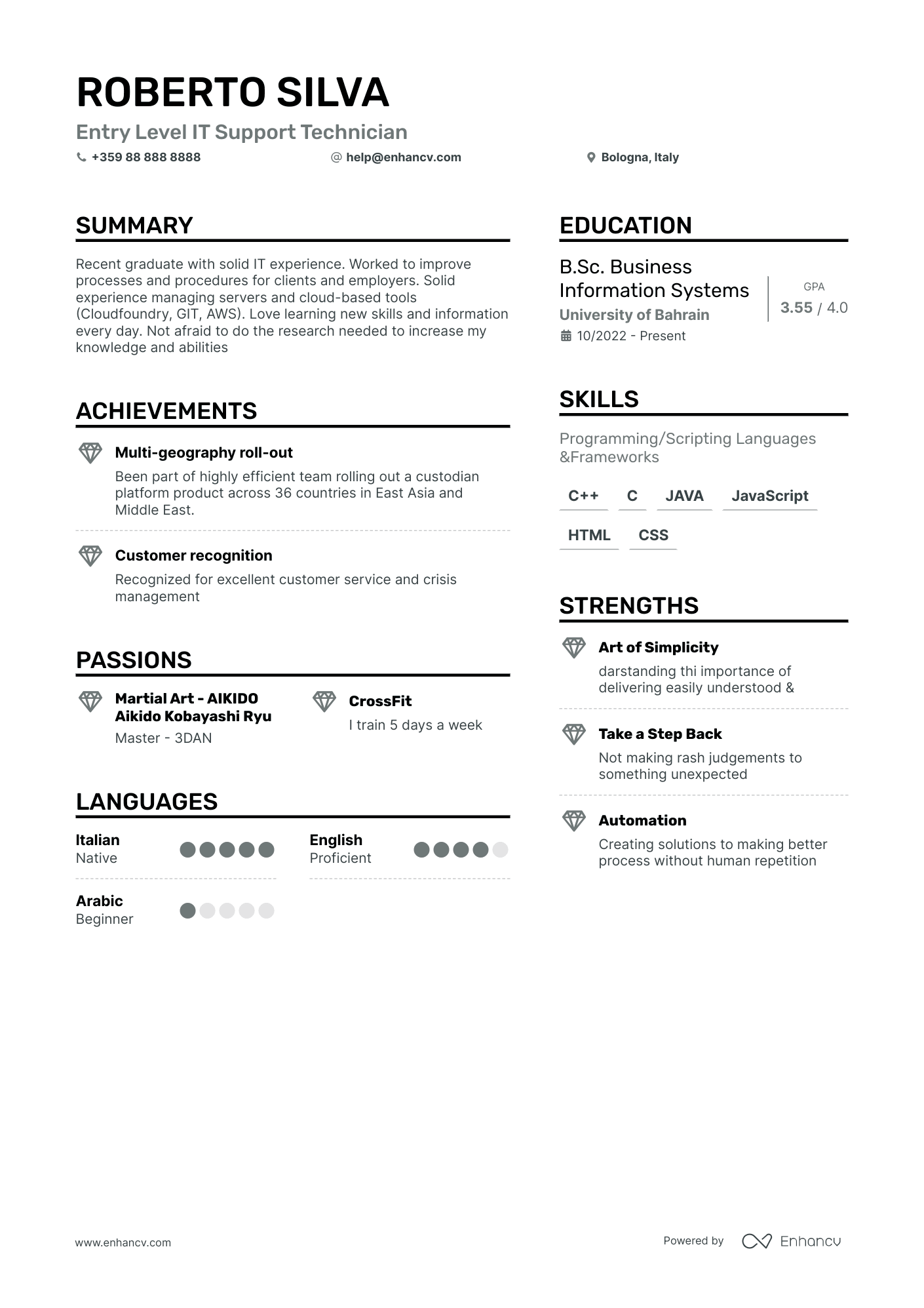 Entry Level IT Support Technician resume example