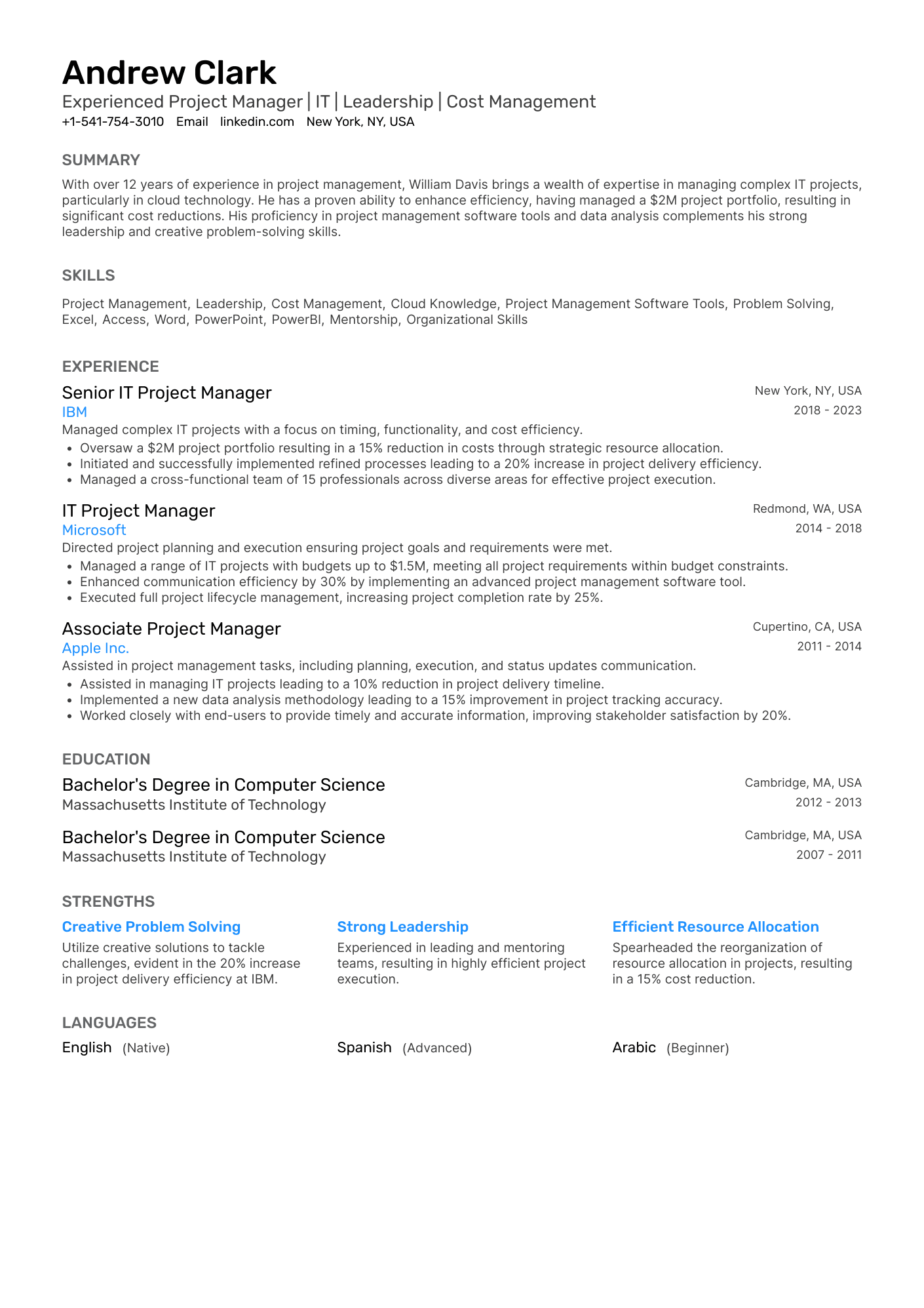 Experienced Project Manager | IT | Leadership | Cost Management resume example