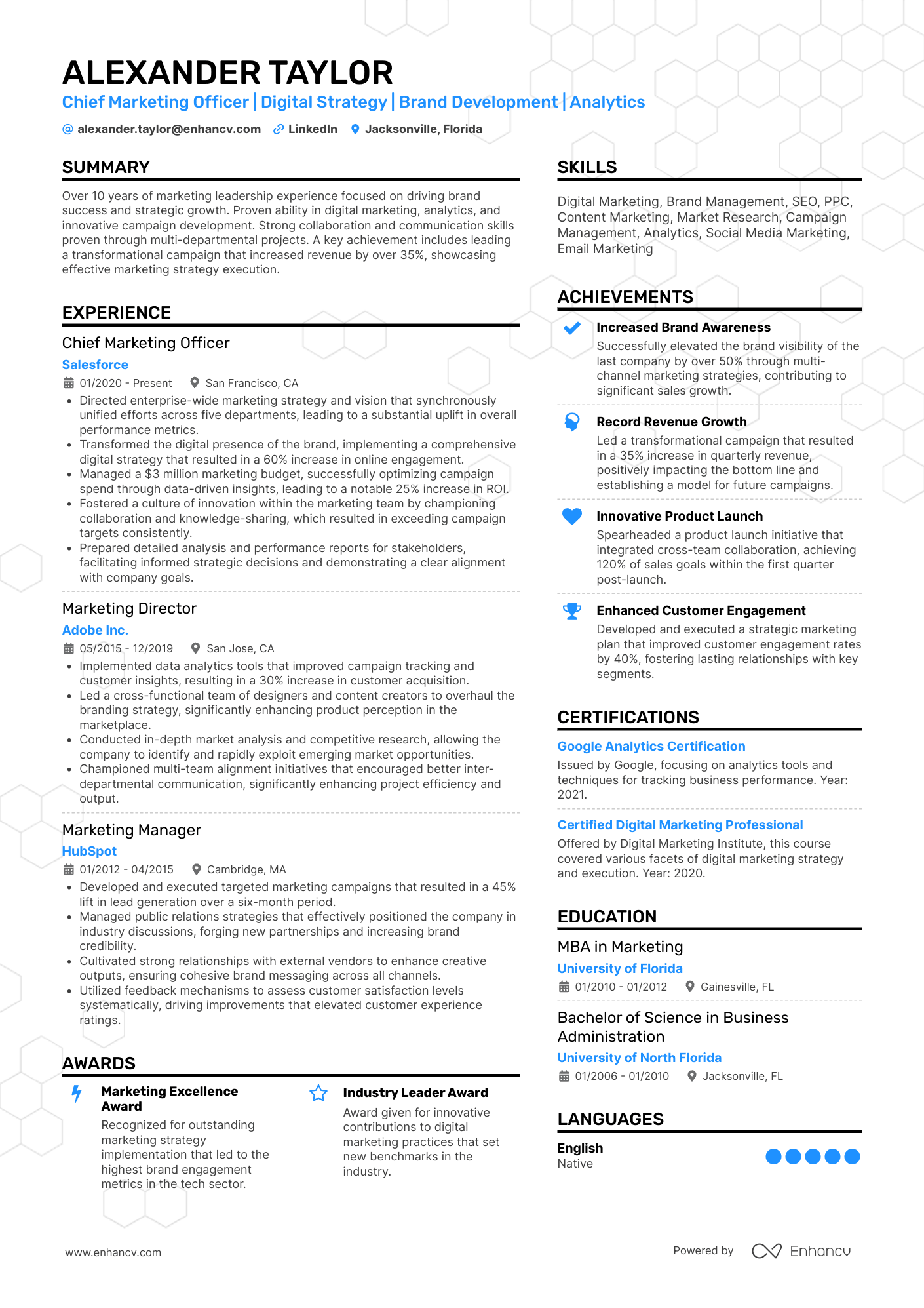 Chief Marketing Officer | Digital Strategy | Brand Development | Analytics resume example