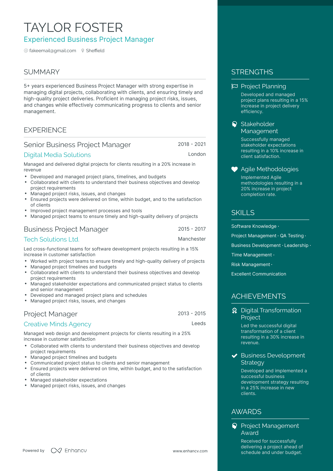 Business Project Manager Resume Example