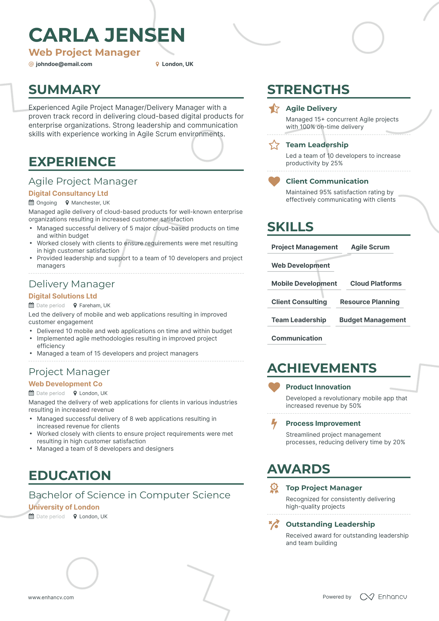 Web Project Manager Resume Example