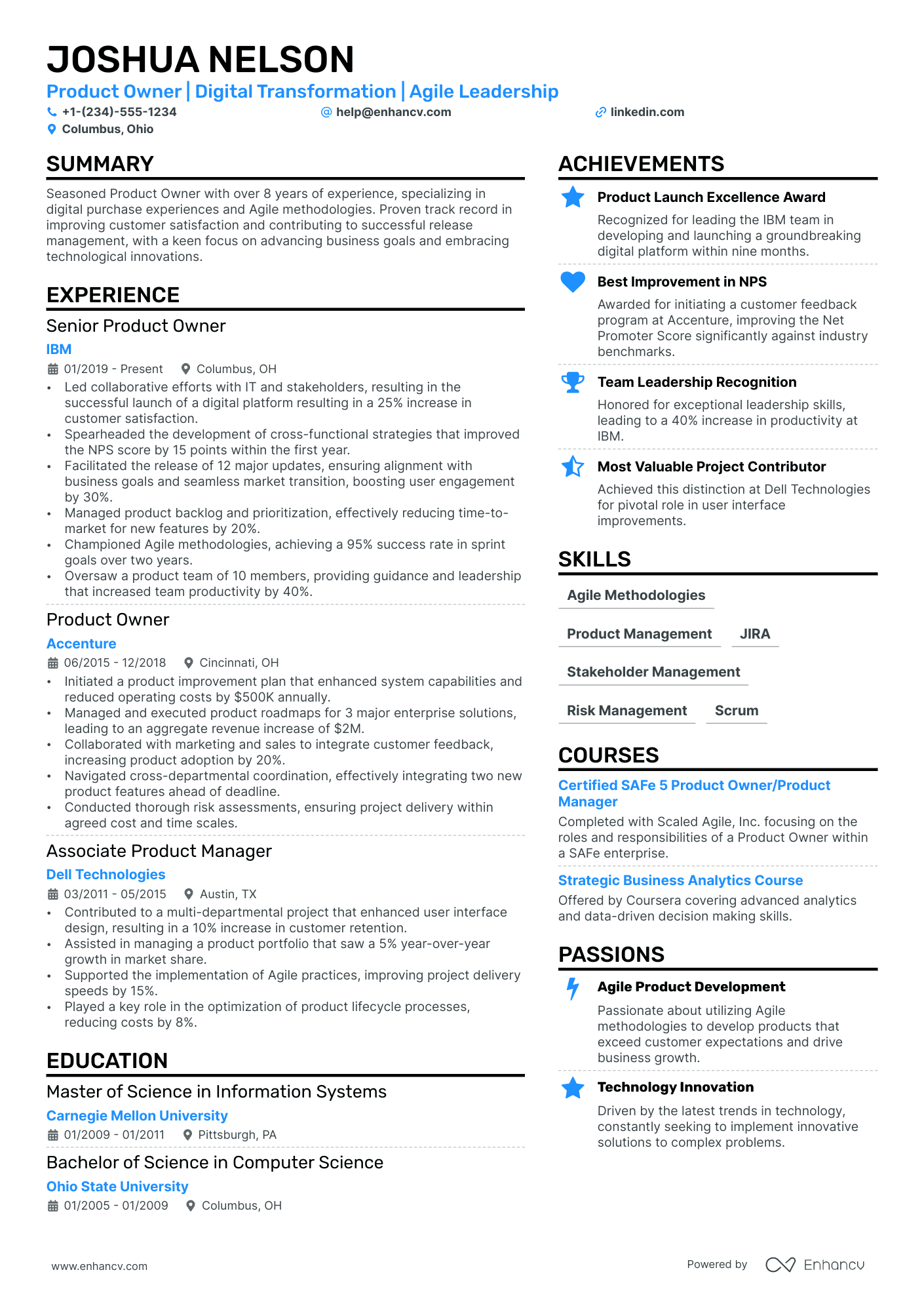 Product Owner | Digital Transformation | Agile Leadership resume example