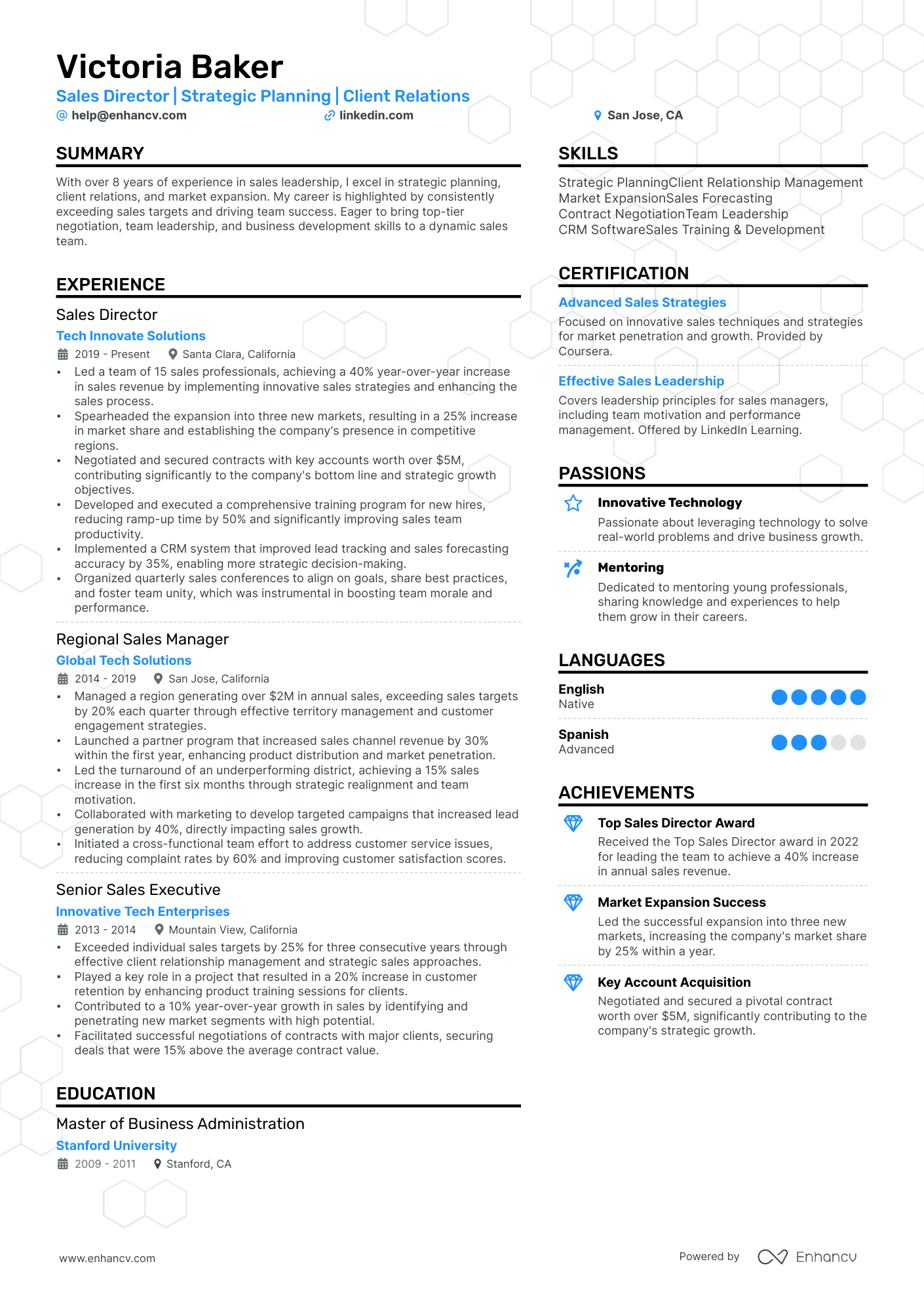 Sales Director | Strategic Planning | Client Relations resume example