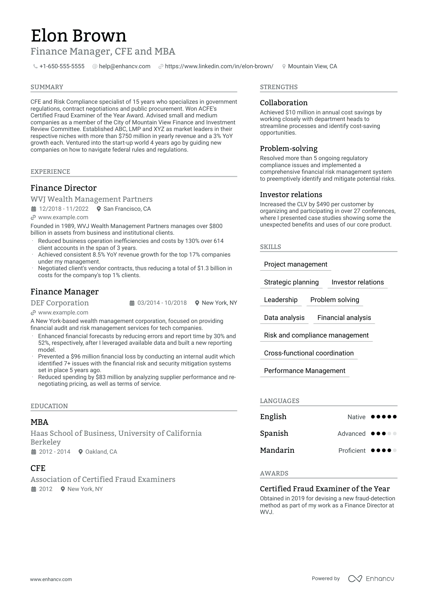 Finance Manager, CFE and MBA resume example