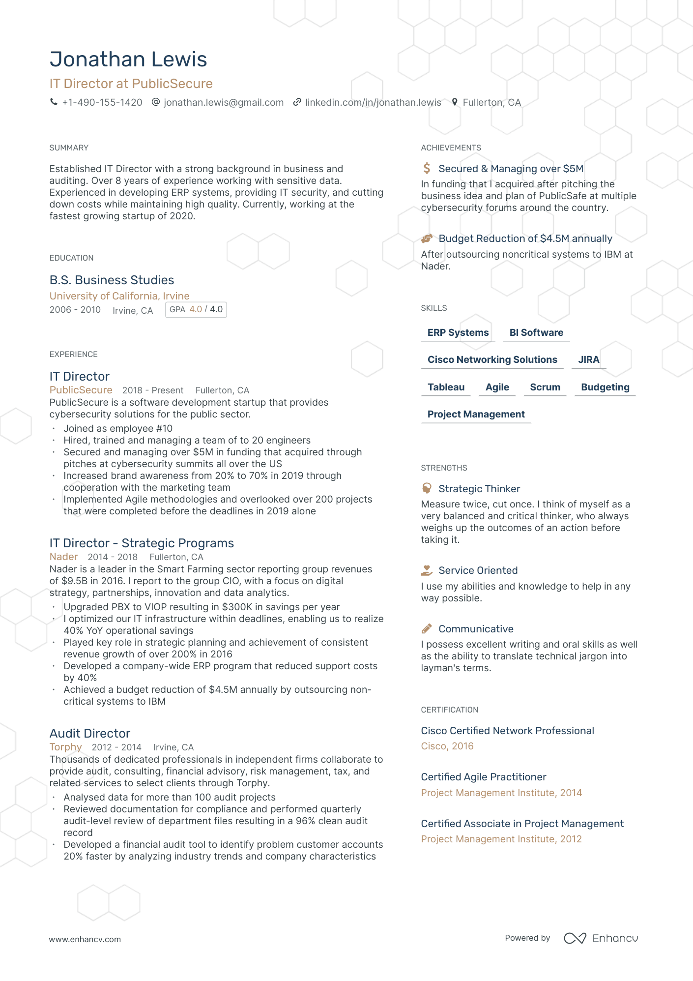 Single page IT director resume