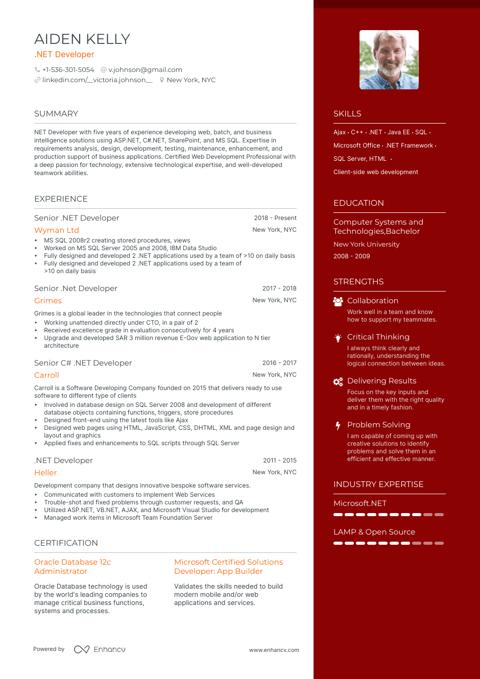 .NET Developer resume example