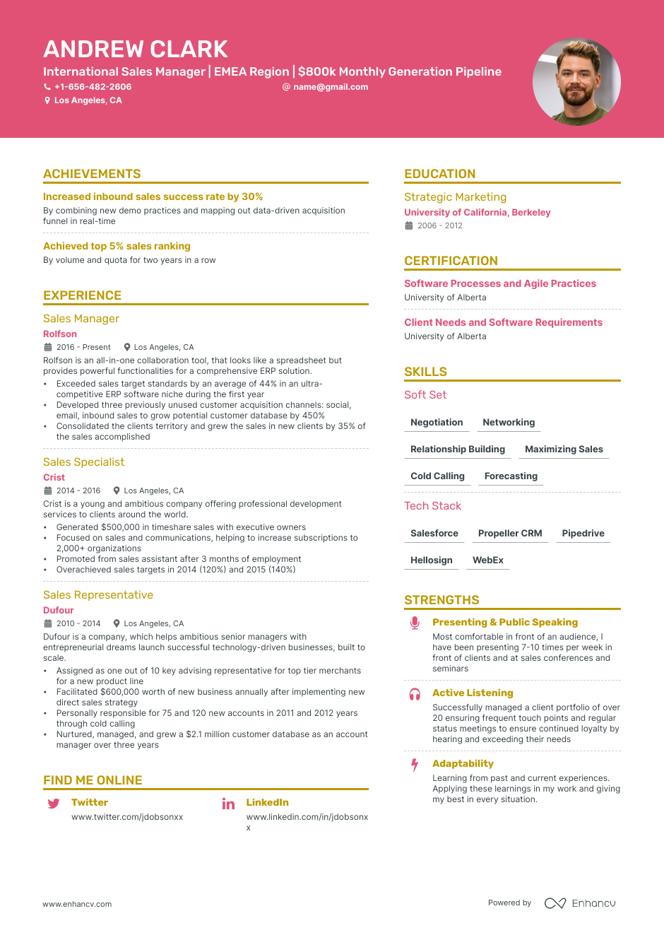 Sales manager resume example
