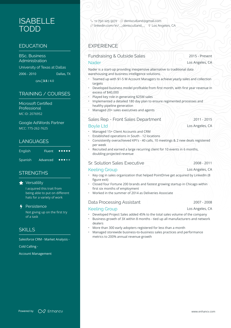 Outside sales resume example
