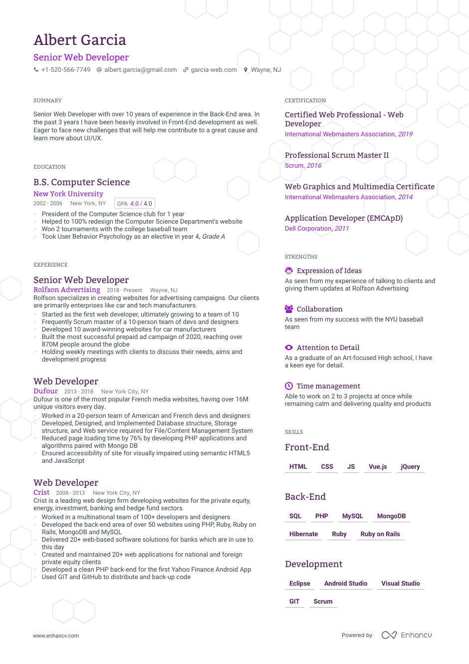 Senior Web Developer resume