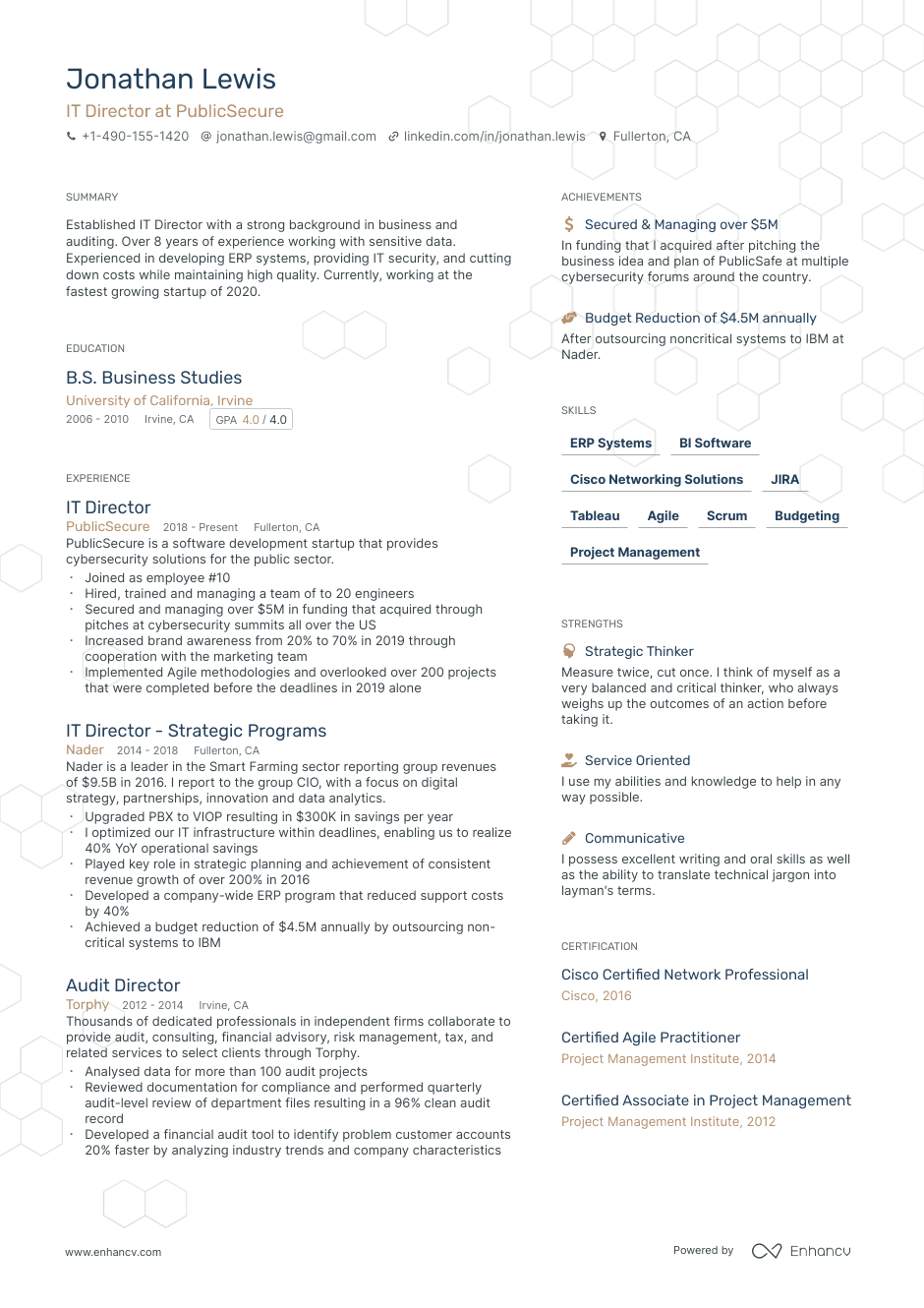 Single page IT director resume